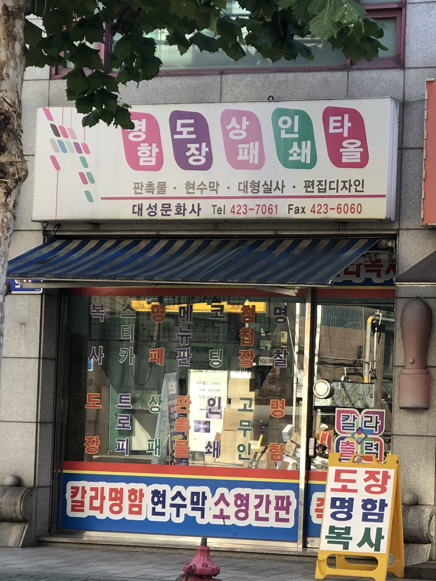 대성문화사