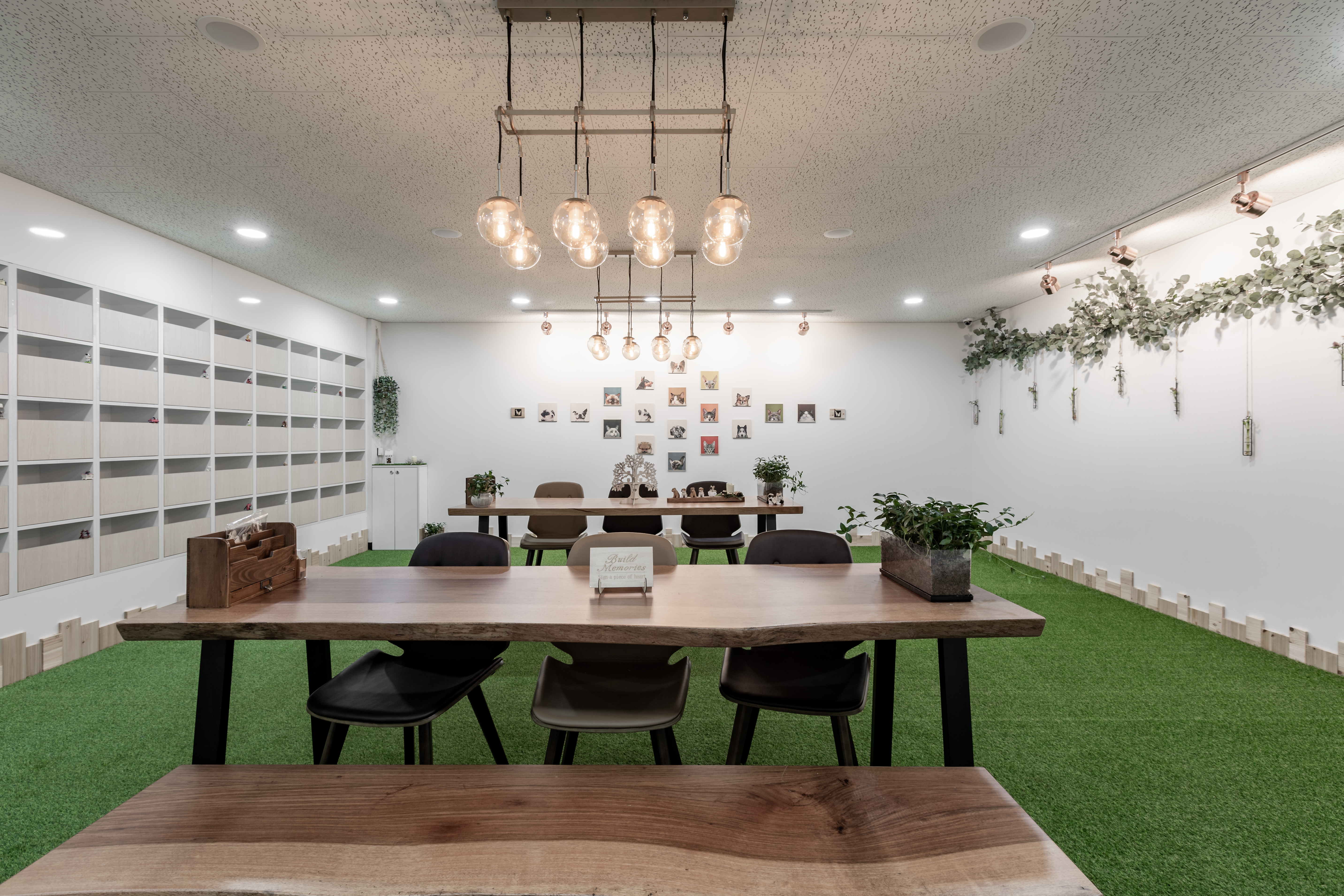 씨엘로펫 대표 이미지