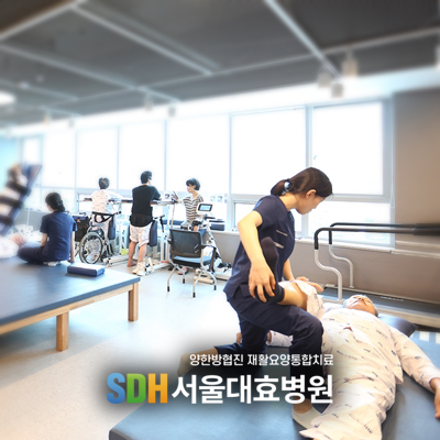 서울대효병원