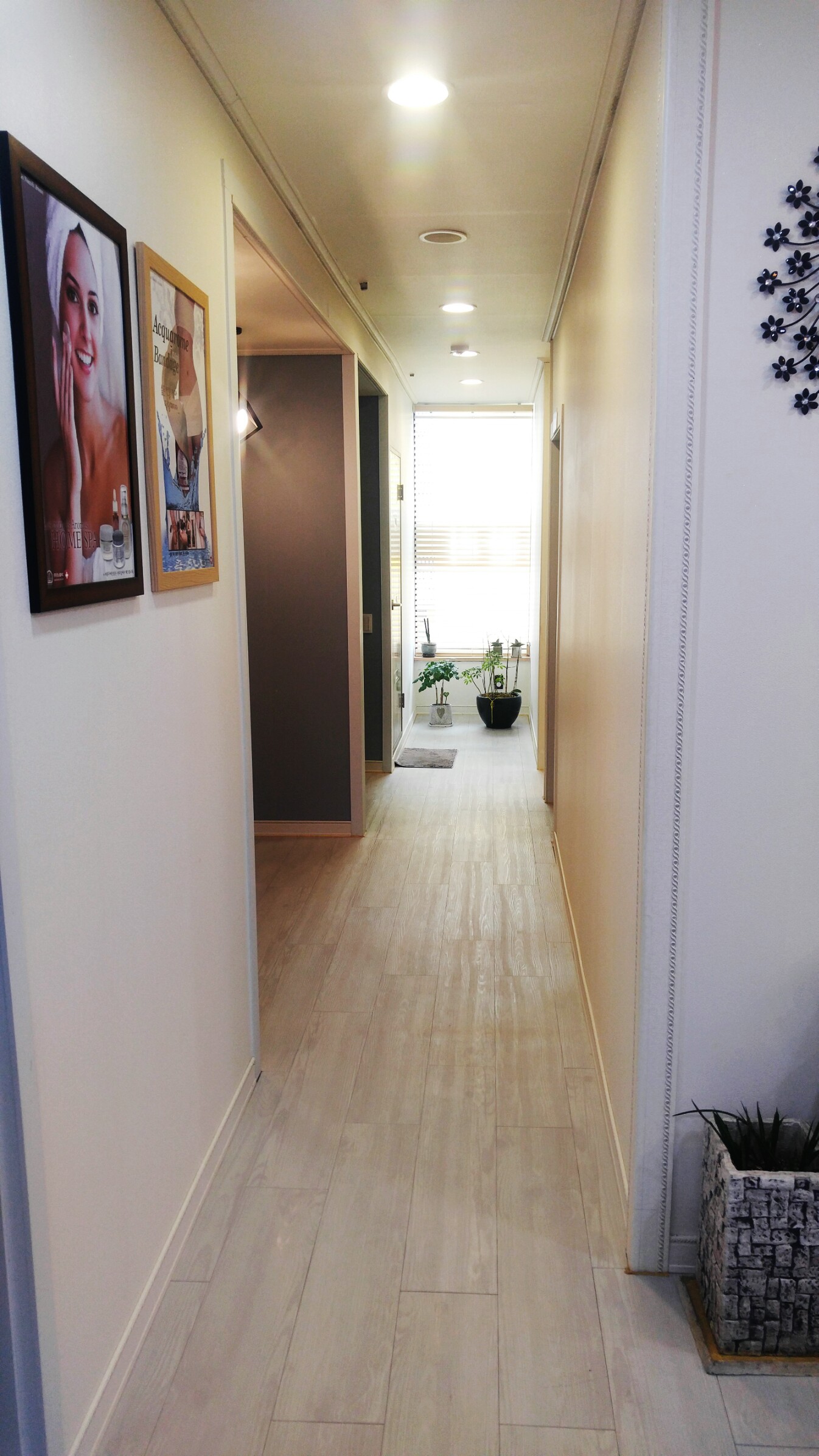 W에스테틱 대표 이미지