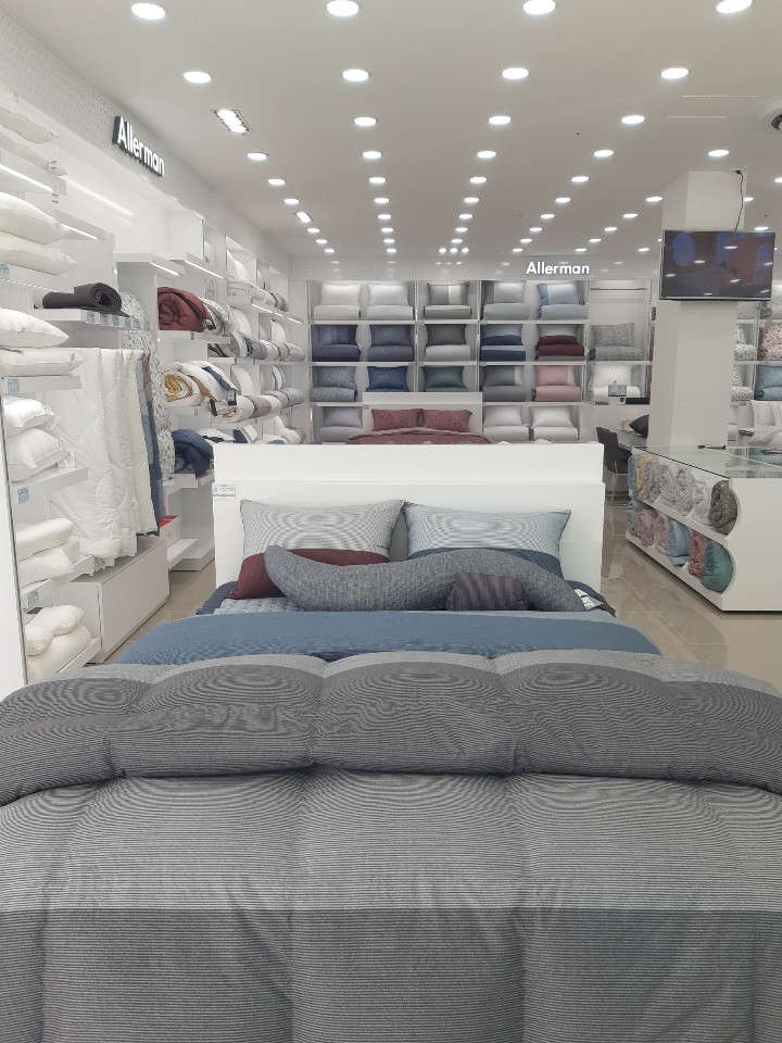 알레르망 다사점 대표 이미지