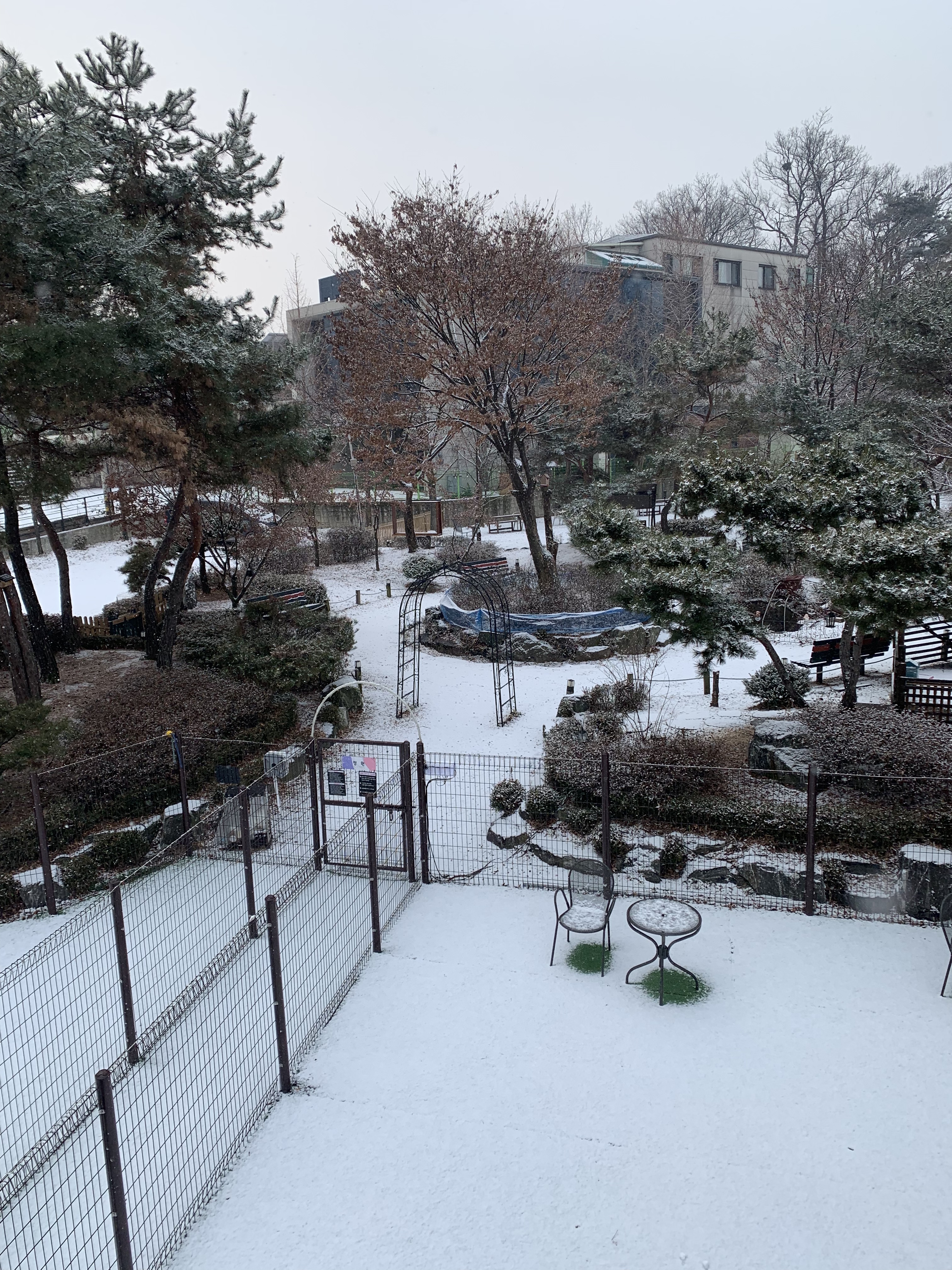 프렌치불독스토리 대표 이미지