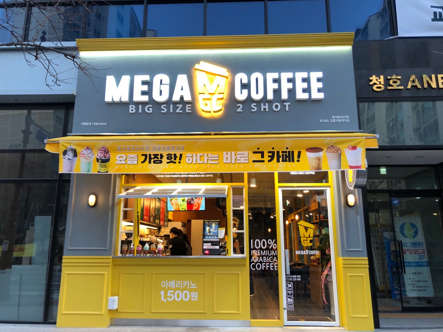 메가MGC커피 강릉교동택지점