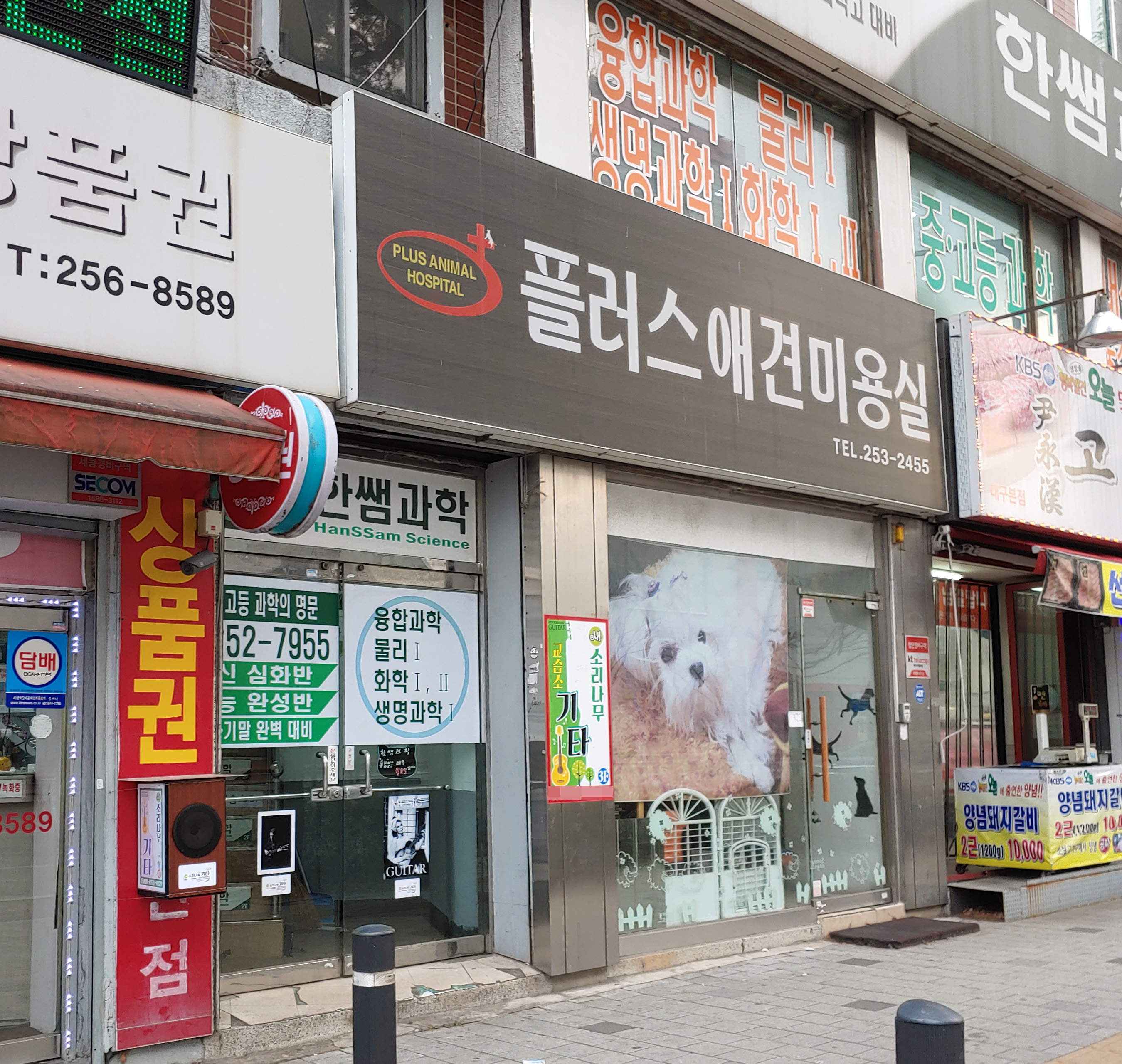 플러스애견미용실 대표 이미지