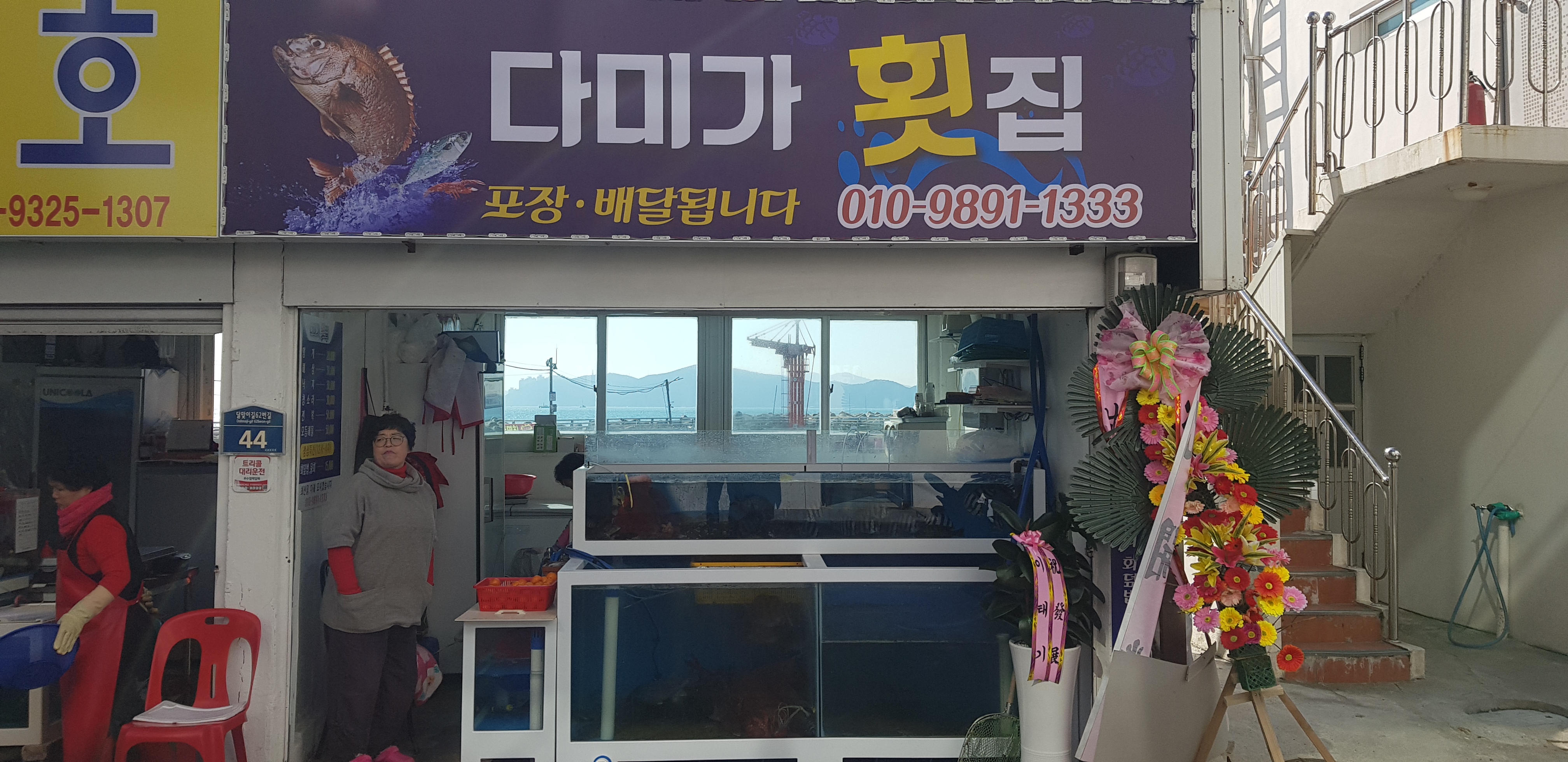 다미가