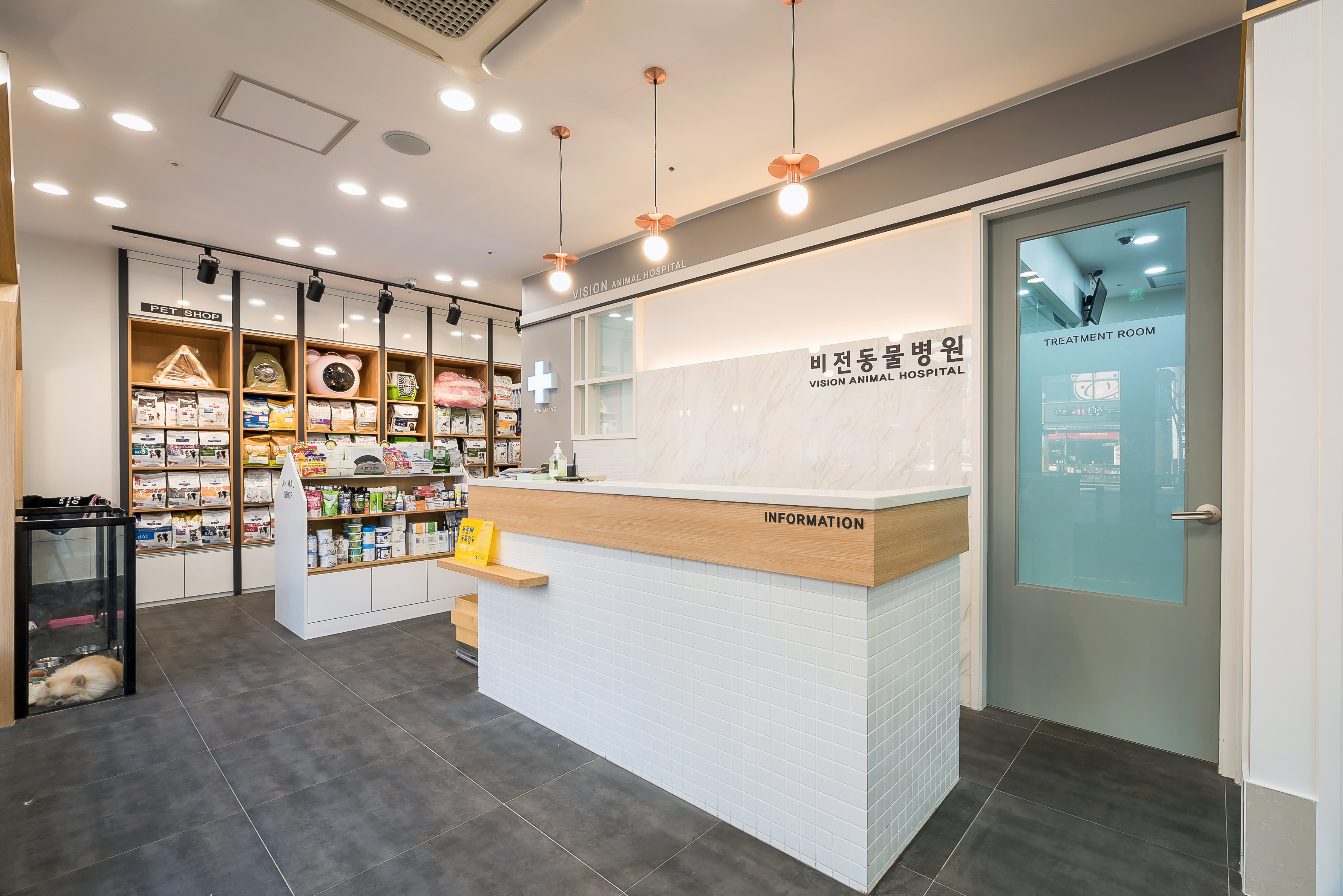 비전동물병원 대표 이미지
