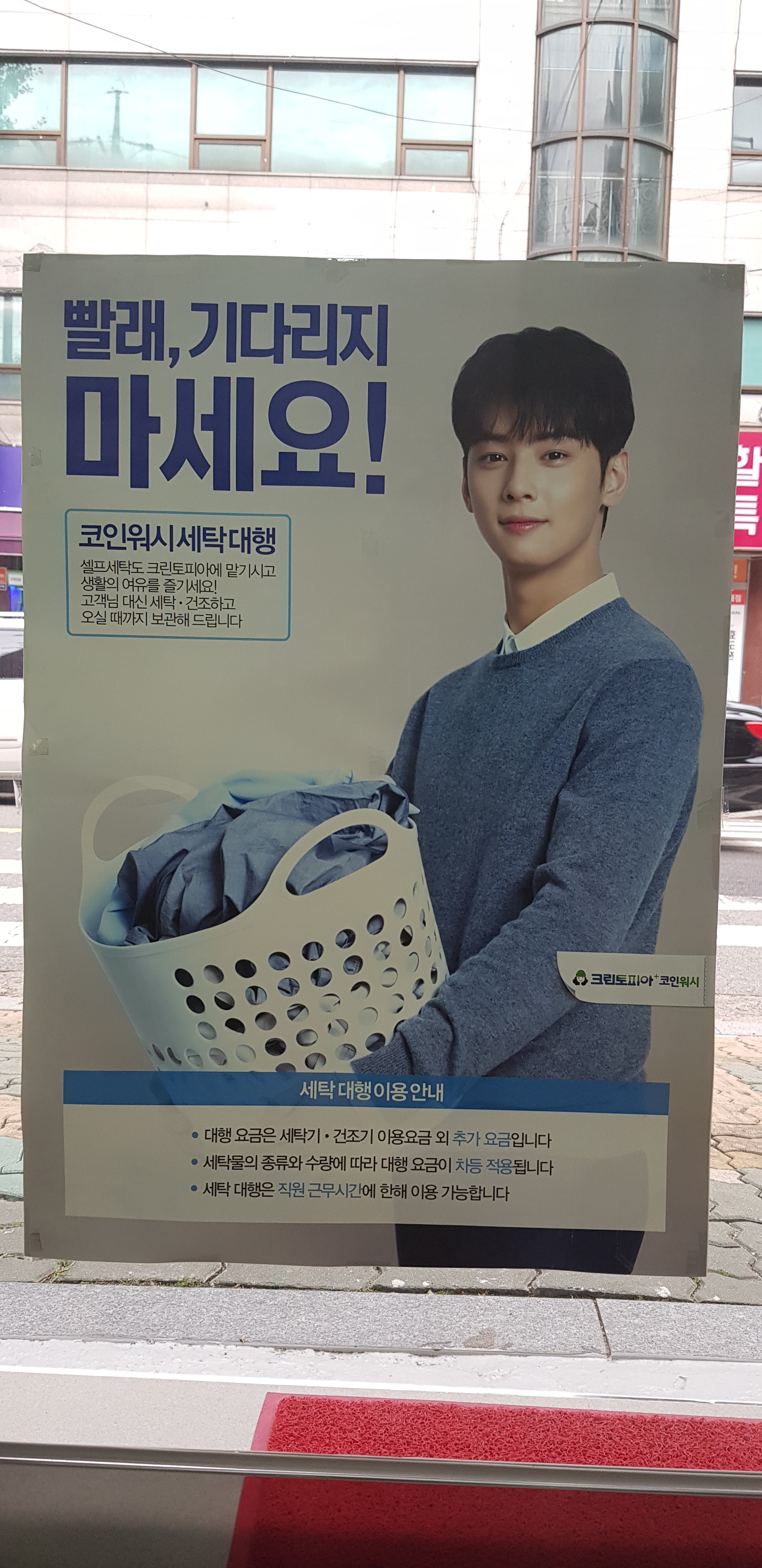 크린토피아 코인워시 송파가락동점