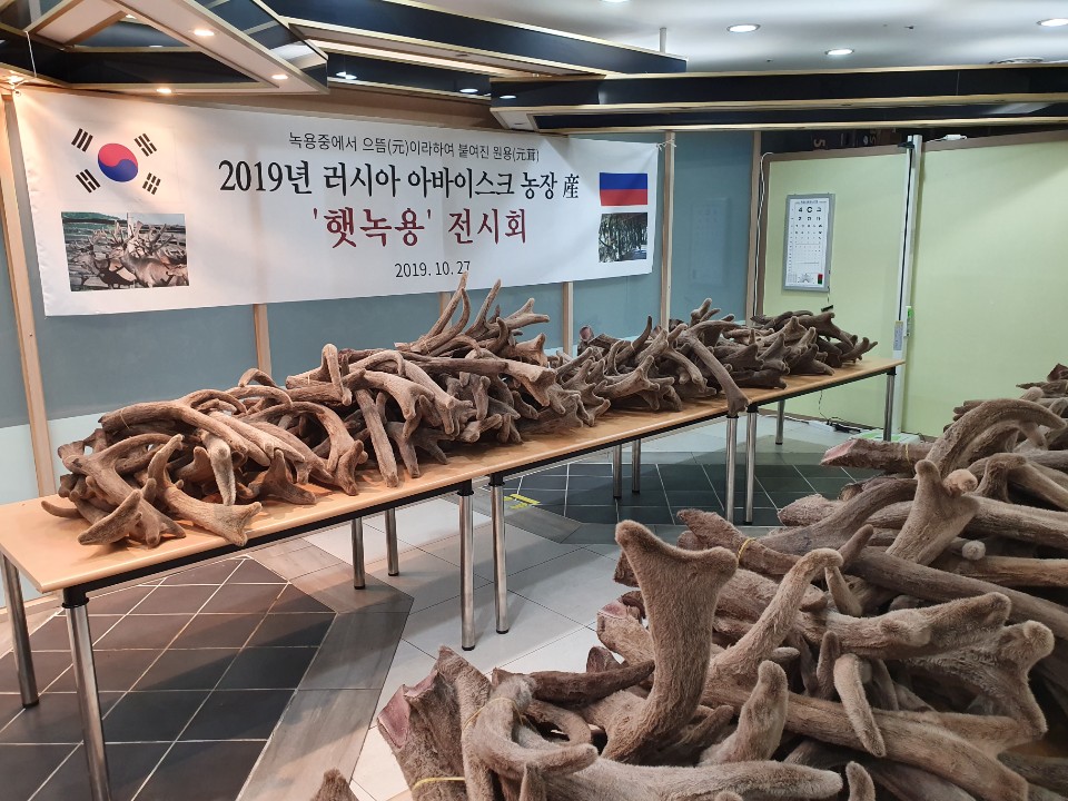 송산한의원