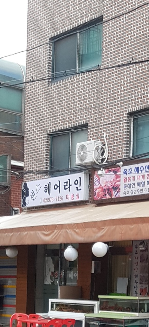 센스헤어라인