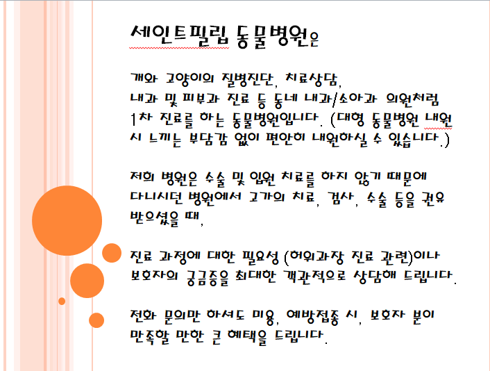 세인트필립동물병원 대표 이미지