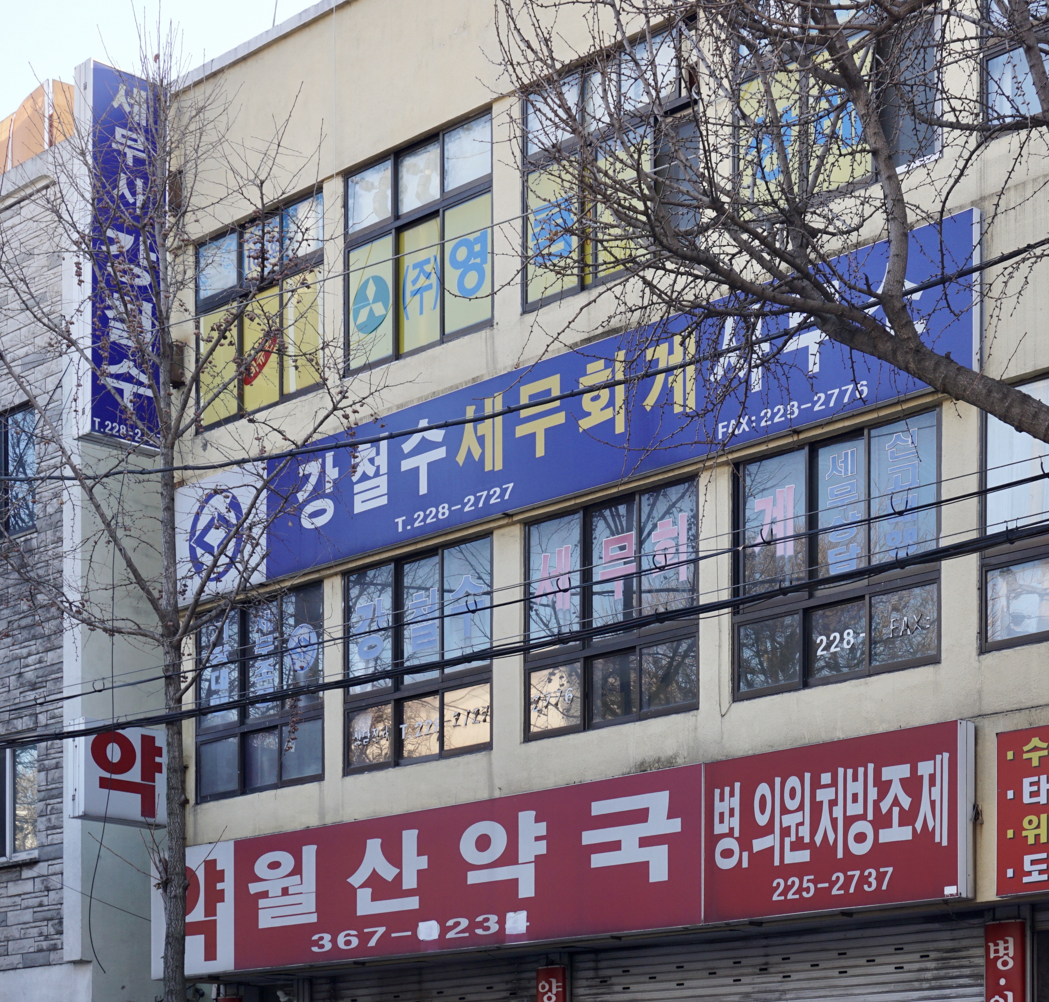 강철수세무회계사무소 대표 이미지