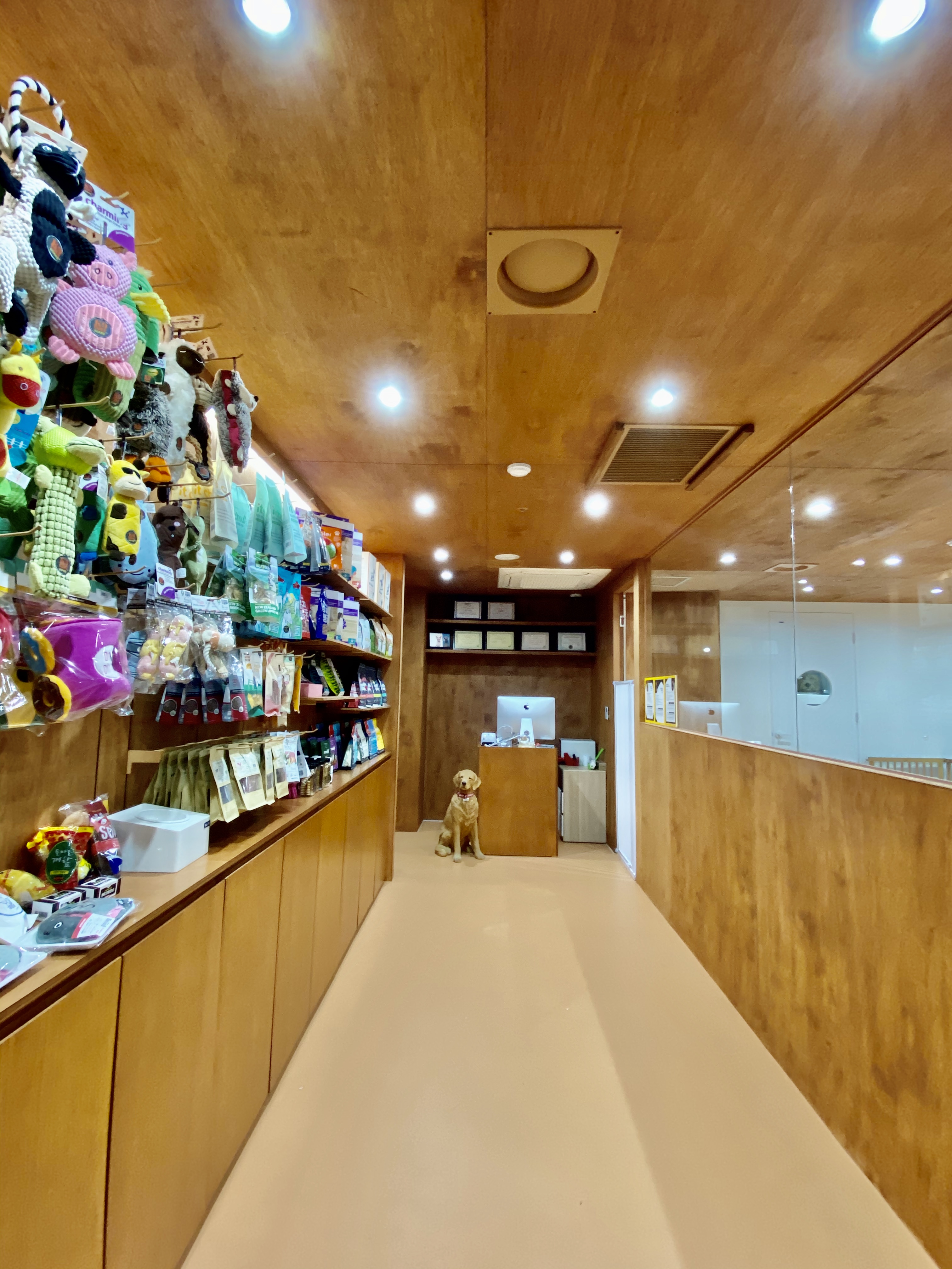 도기캠프 대표 이미지