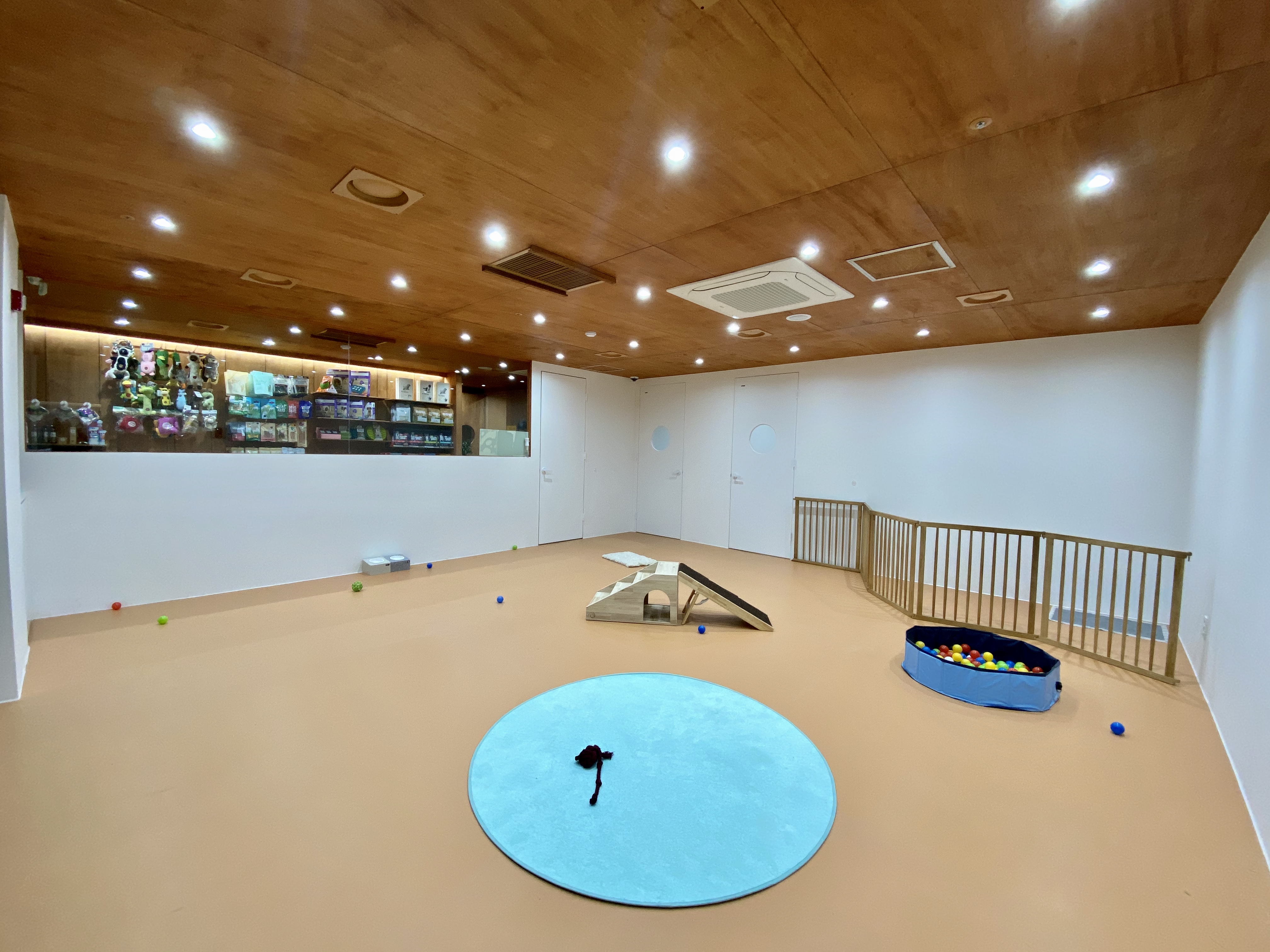 도기캠프 대표 이미지