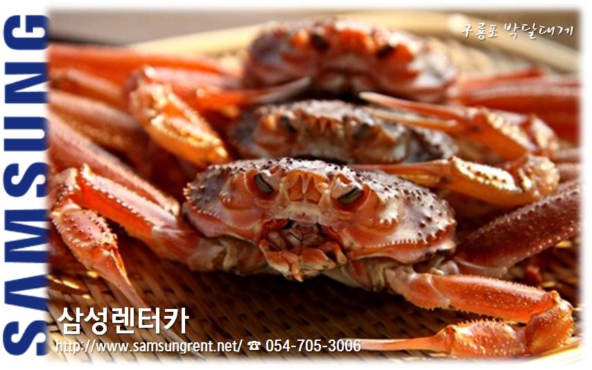 삼성렌트카 포항역 예약소 대표 이미지