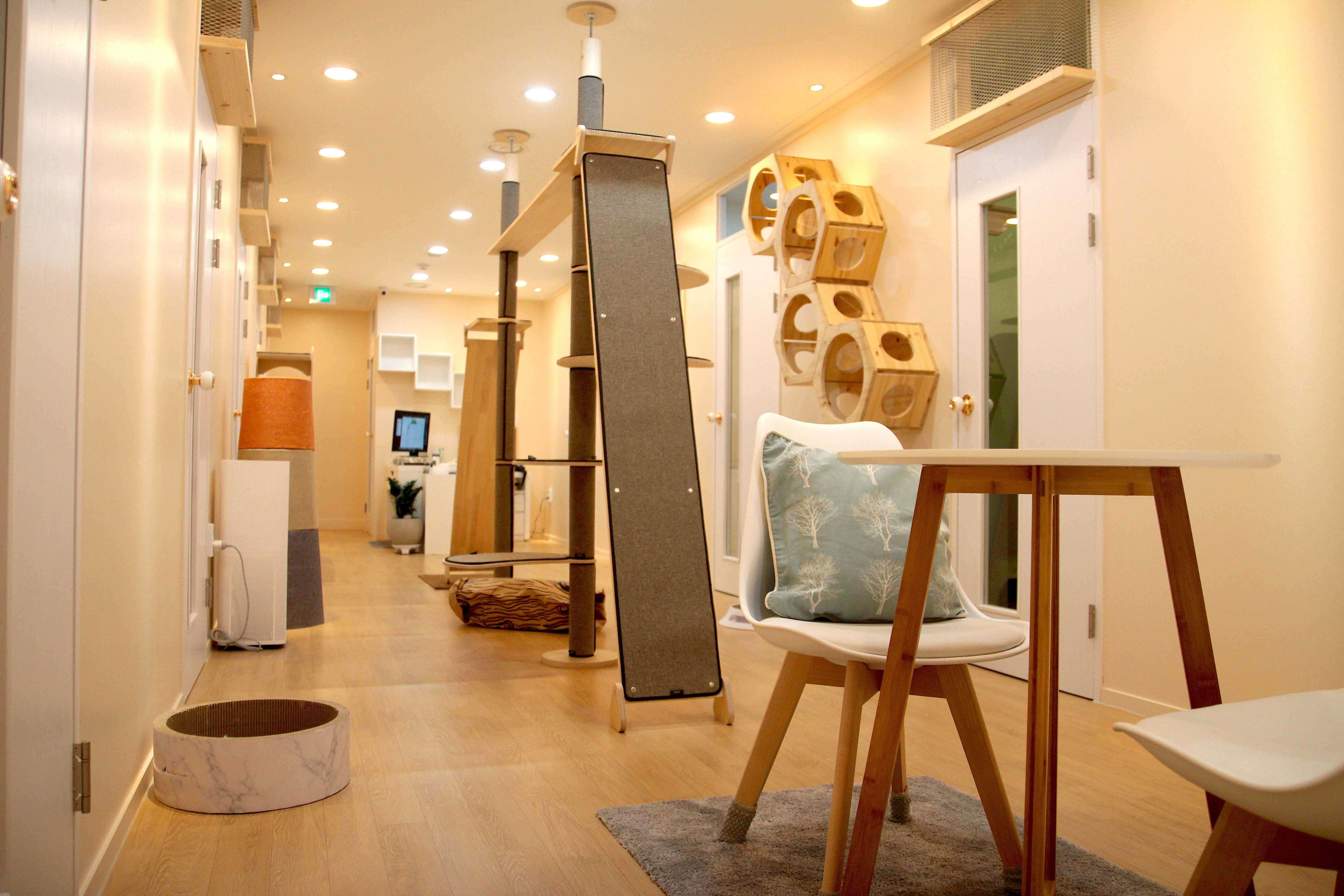 나오미야오 대표 이미지