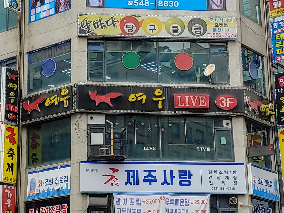 여우주점