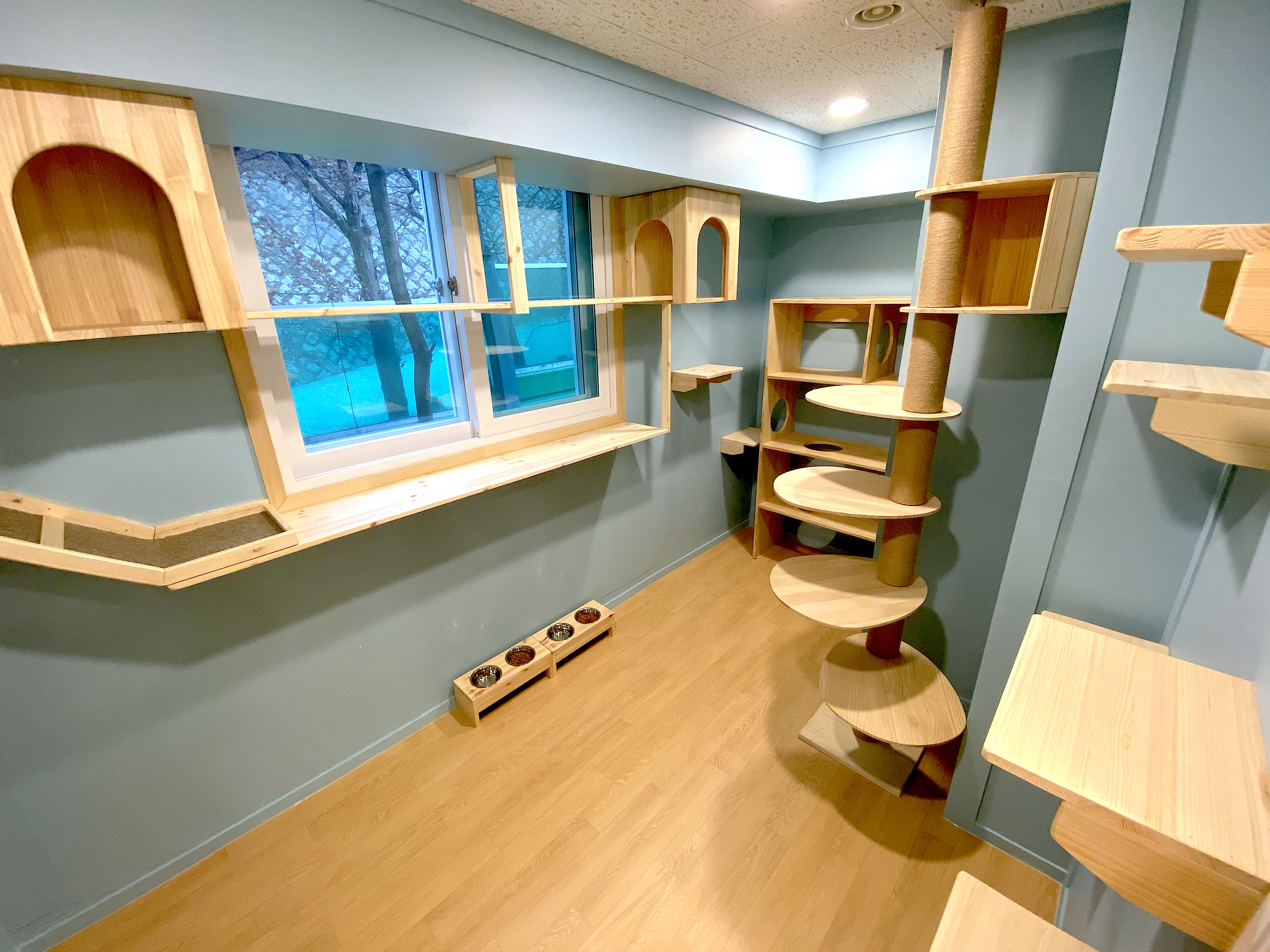 나오미야오 대표 이미지