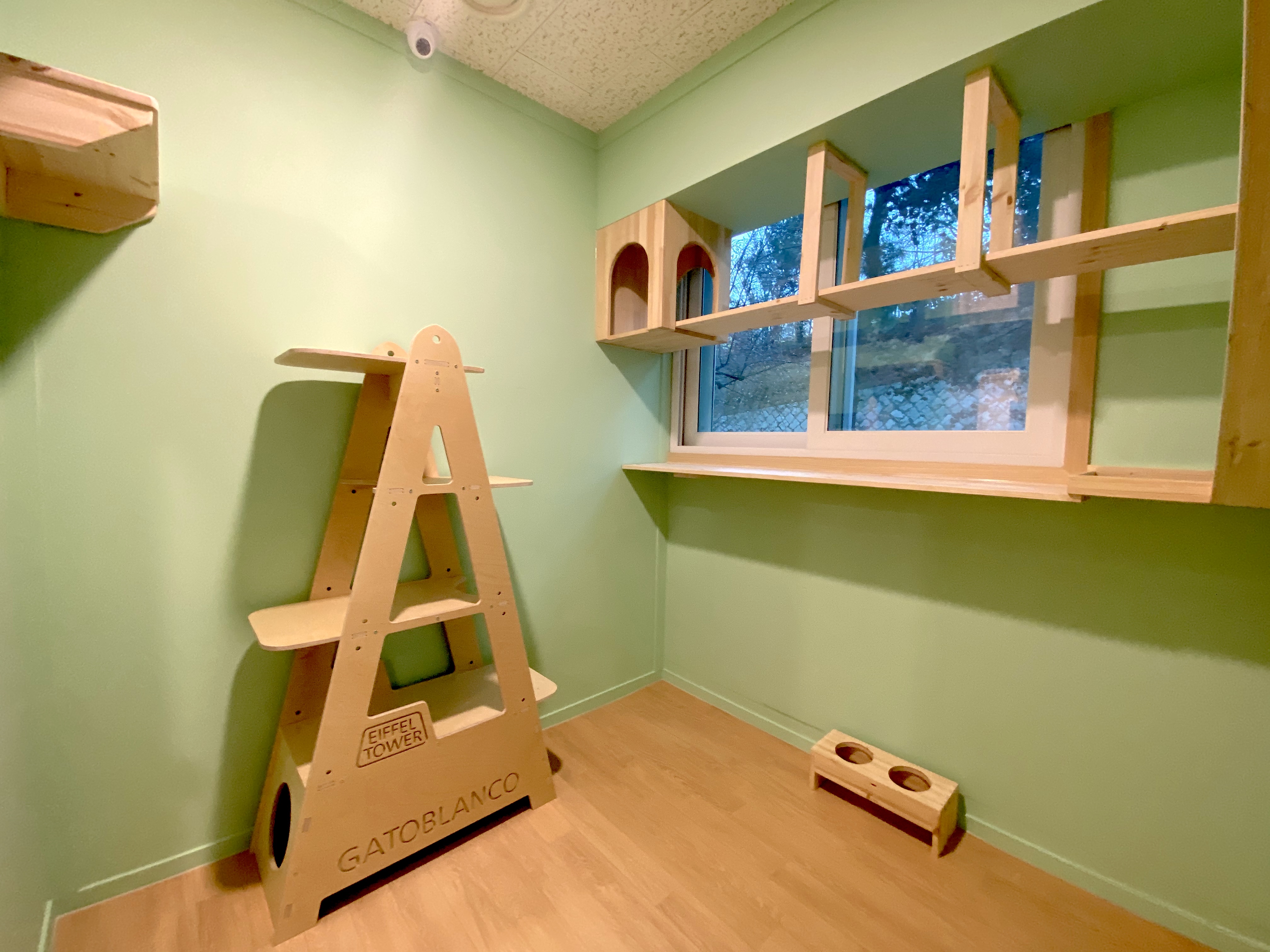 나오미야오 고양이호텔 내부 이미지