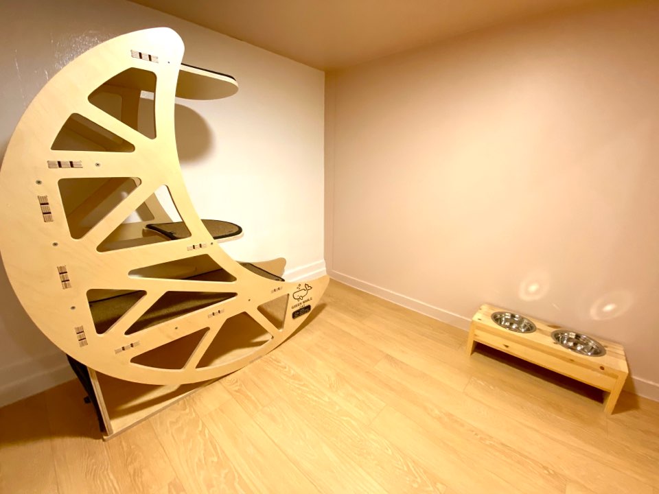 나오미야오 대표 이미지