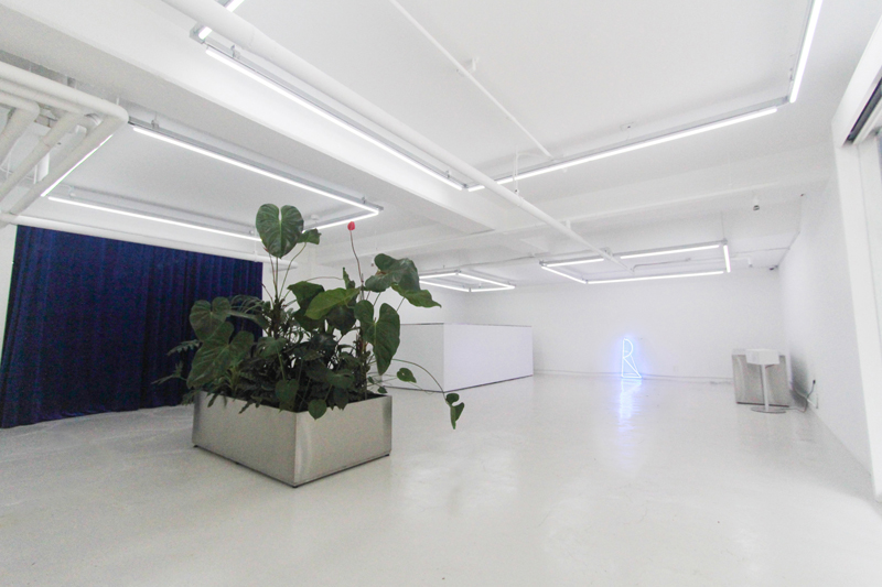 알지비지구맛 대표 이미지