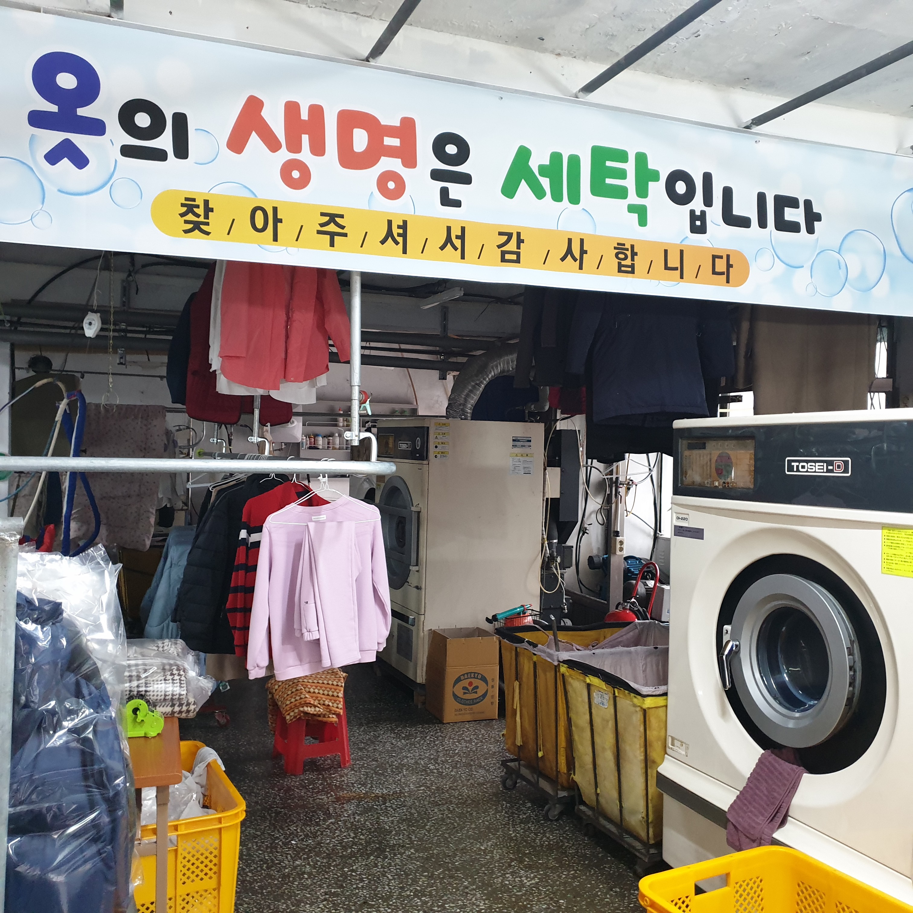 크린뱅크세탁