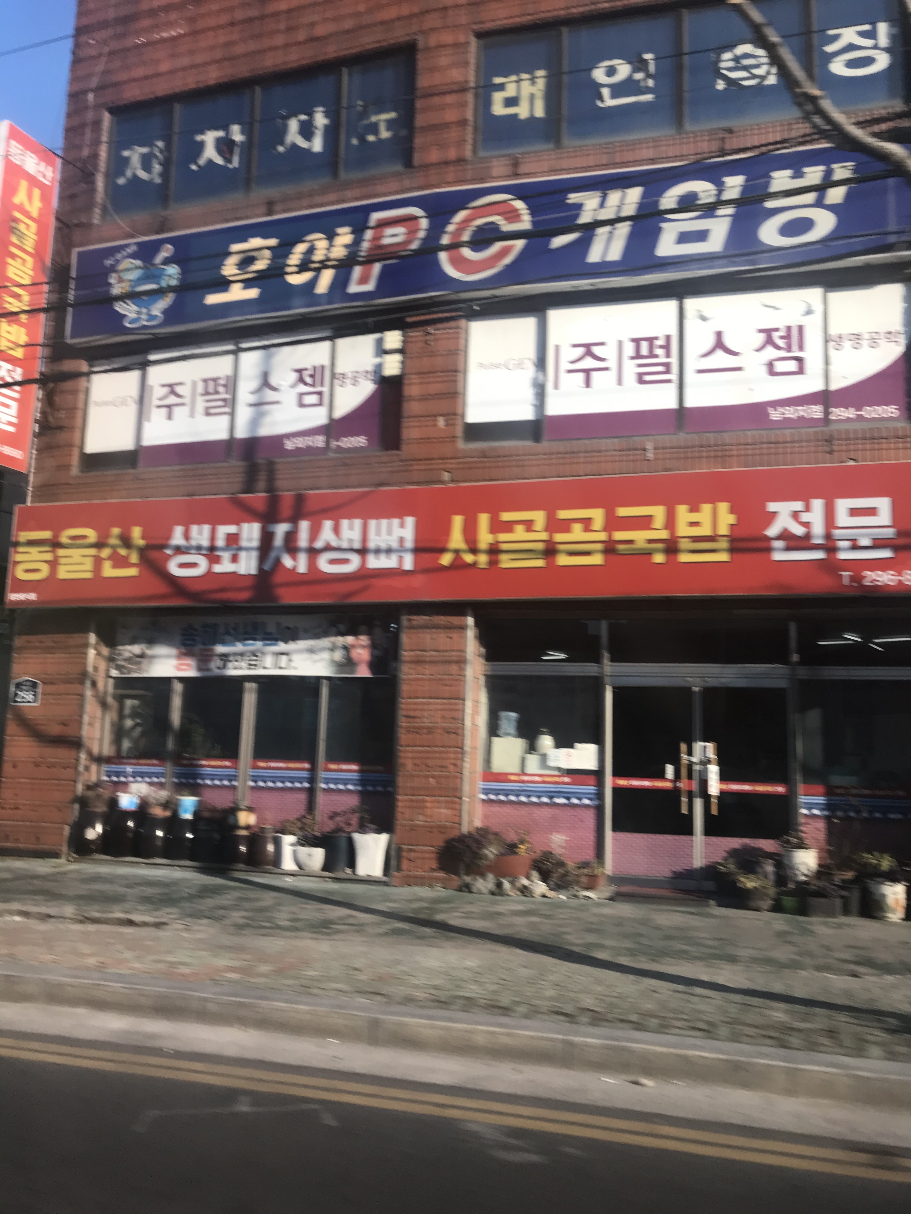 동울산생돼지생뼈사골곰국밥