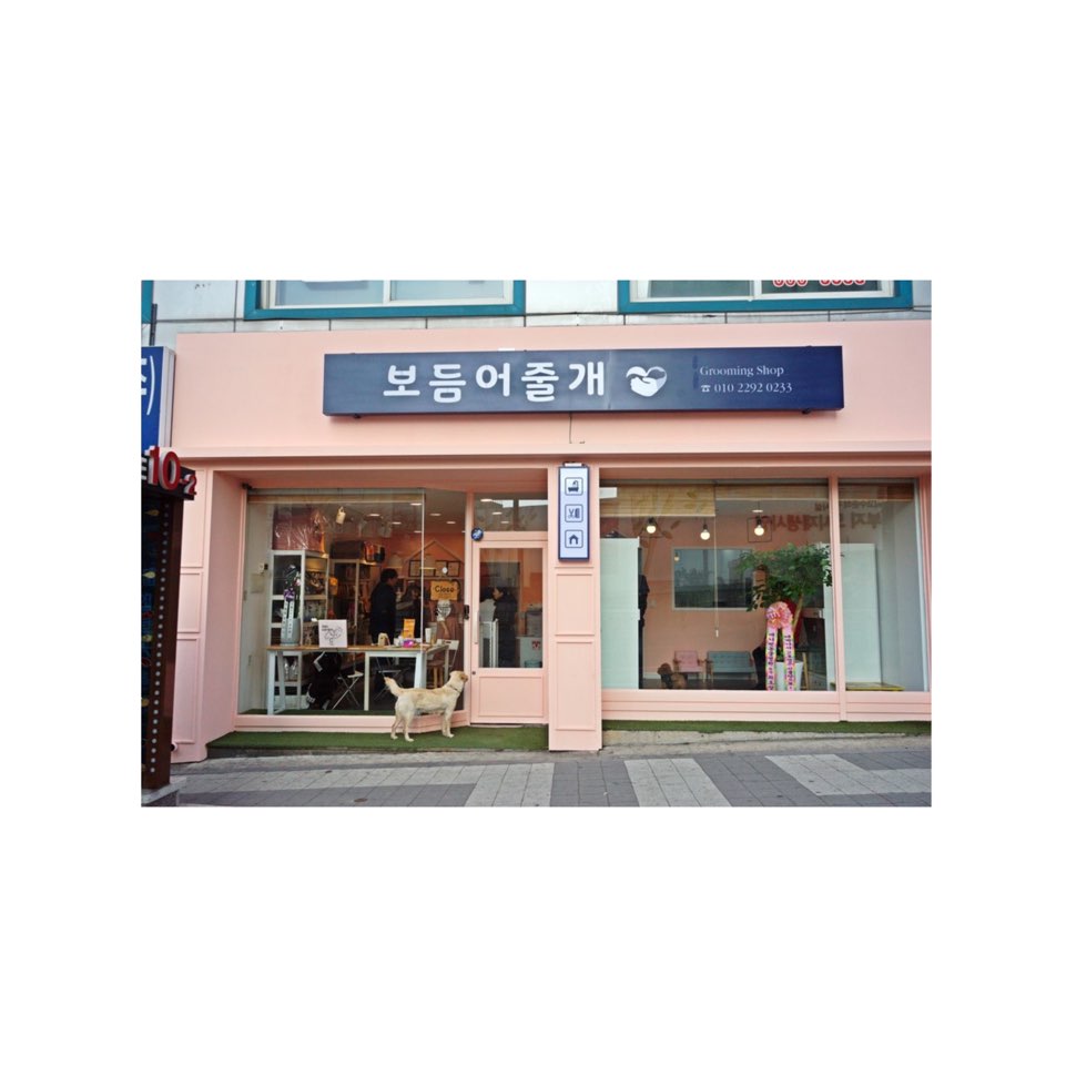 보듬어줄개 대표 이미지