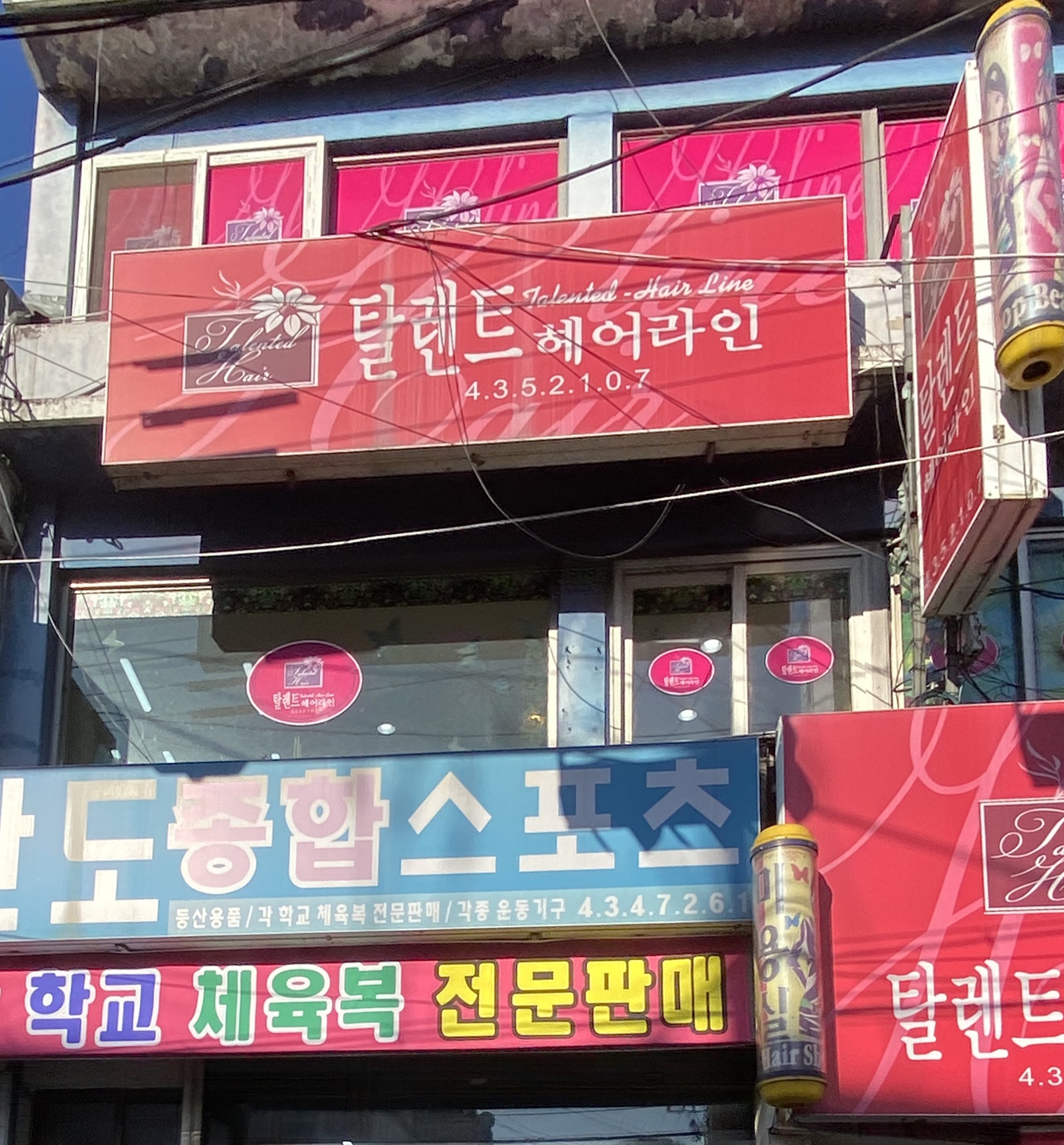 탈렌트헤어라인 대표 이미지