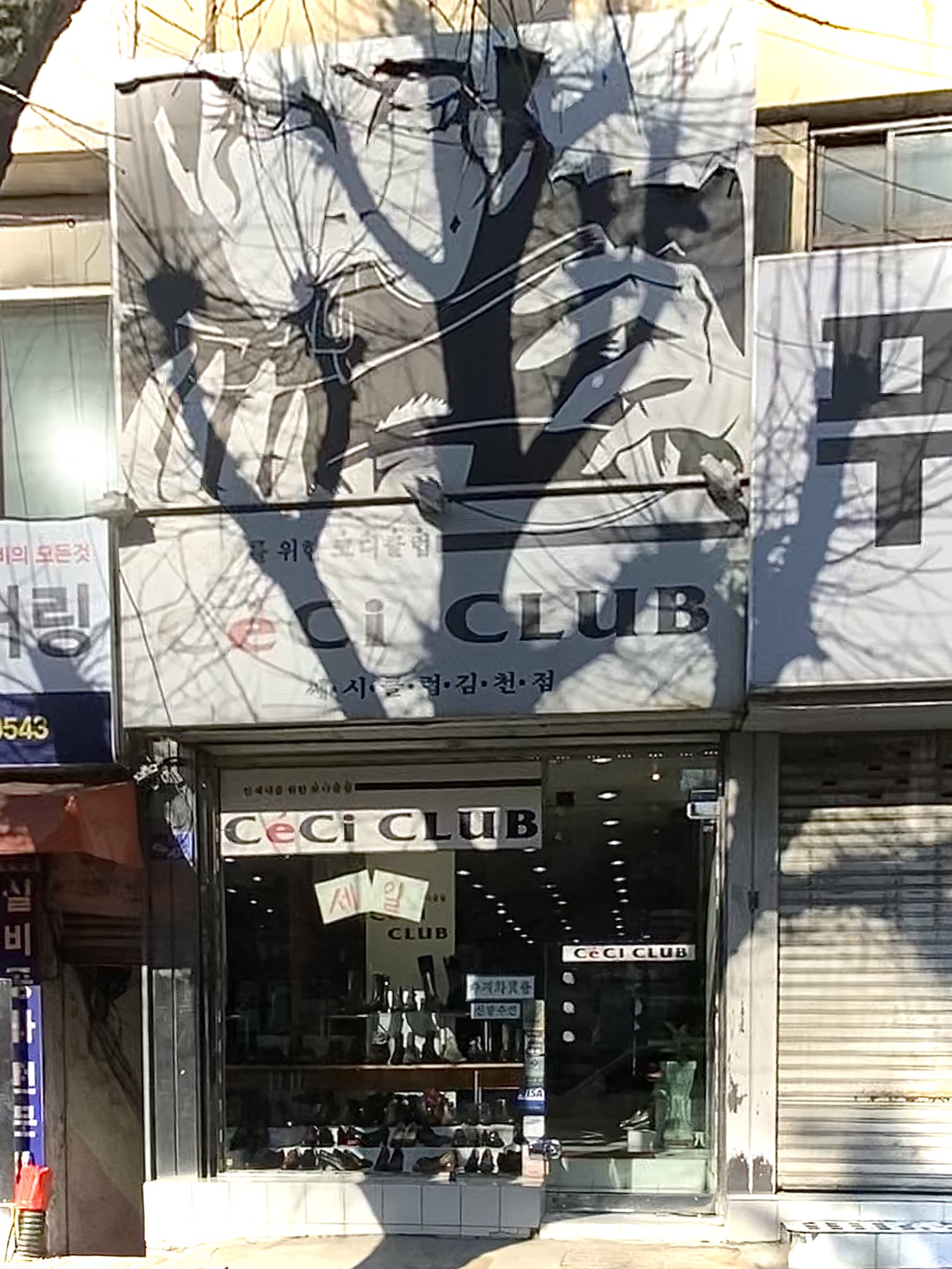 쎄씨클럽