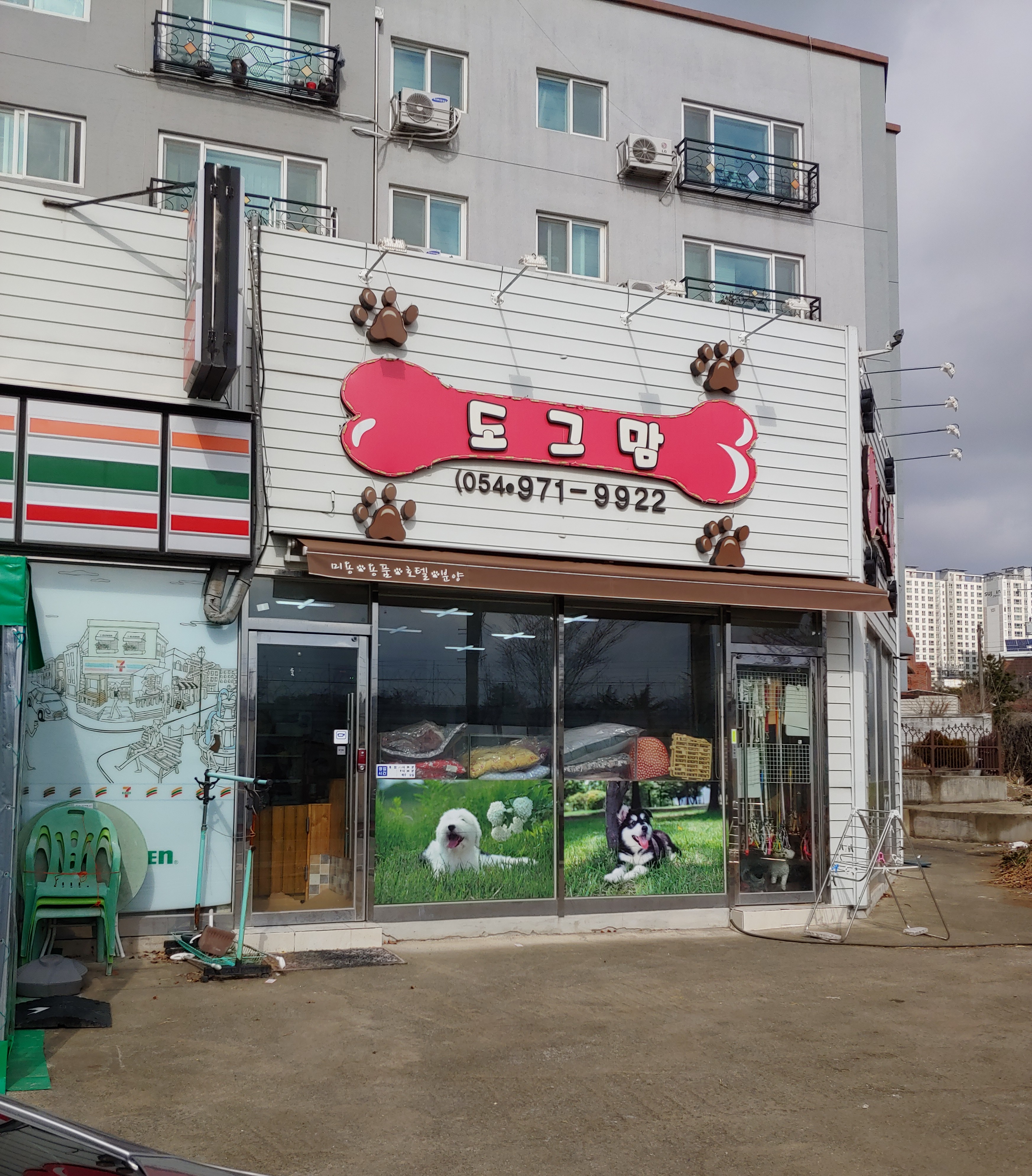 도그맘애견 대표 이미지
