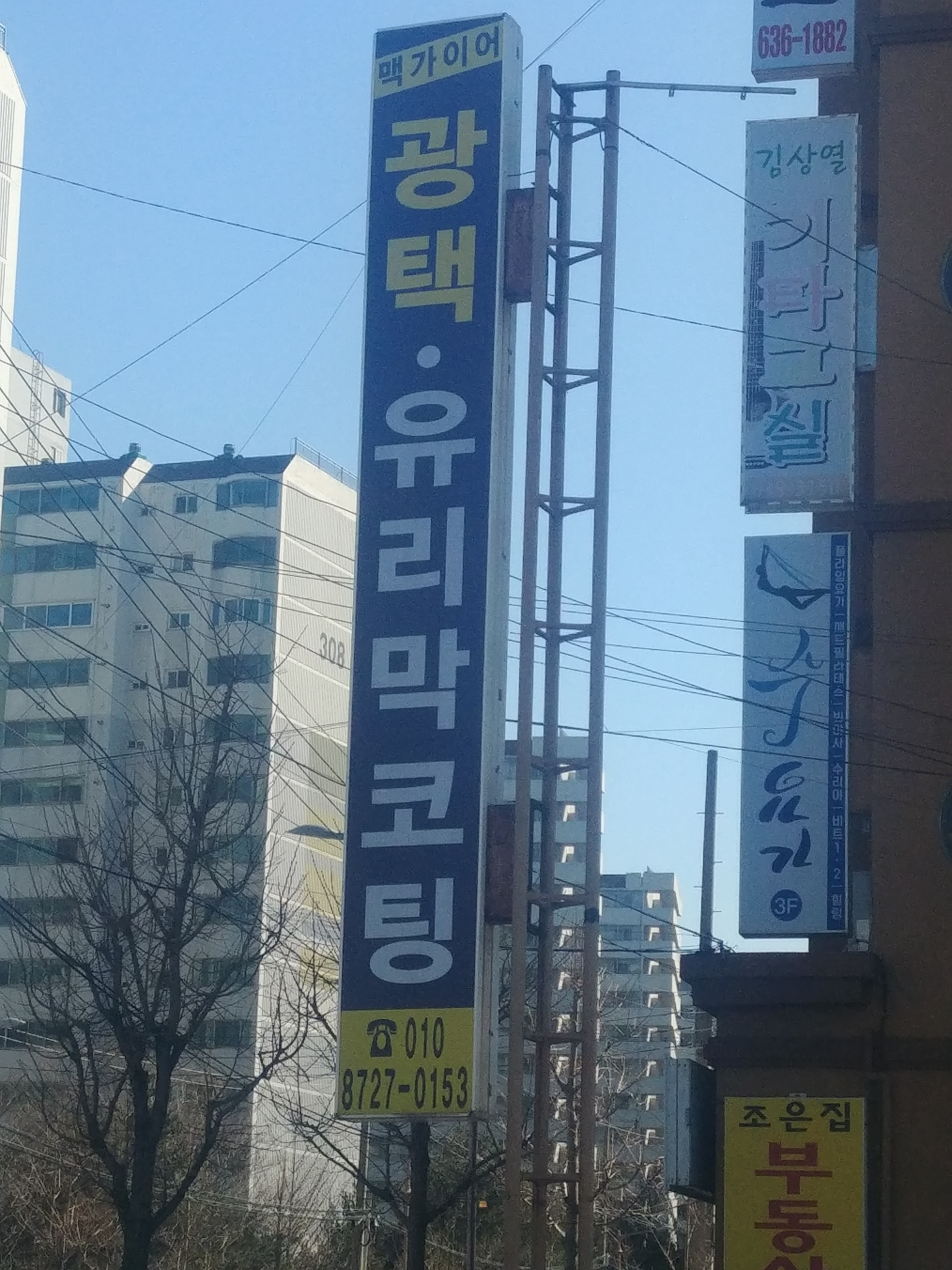 맥가이어광택