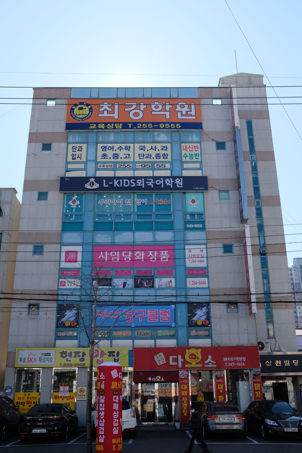 엘키즈어학원