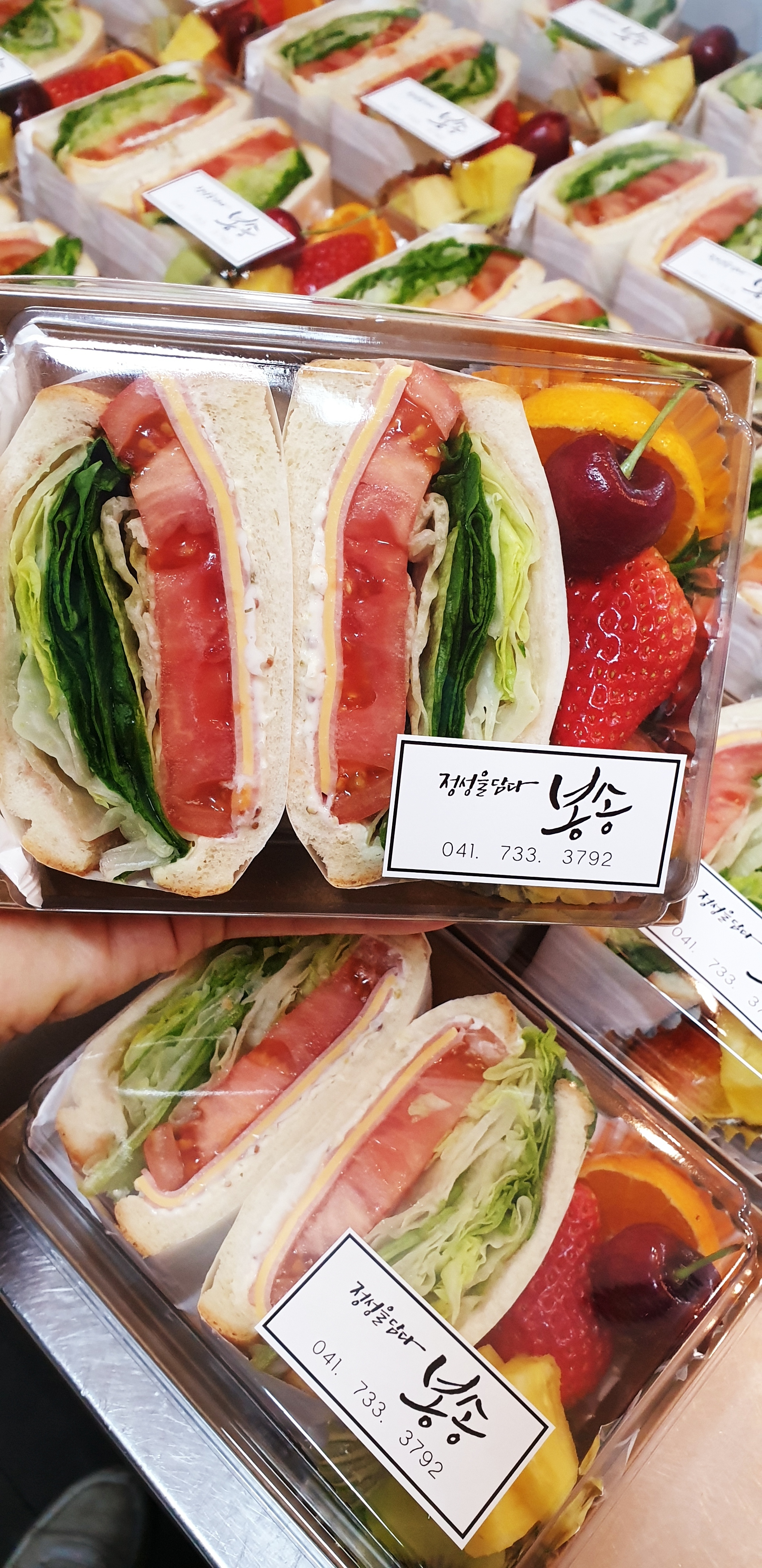 봉송