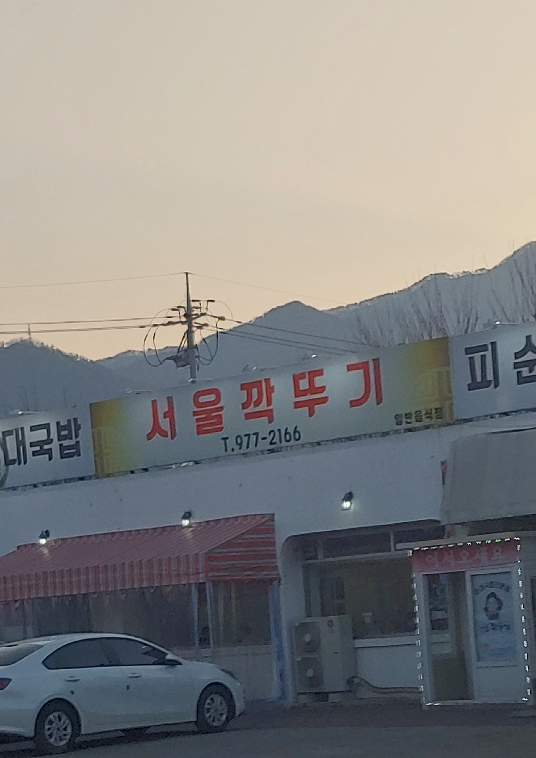 서울깍뚜기 설명사진