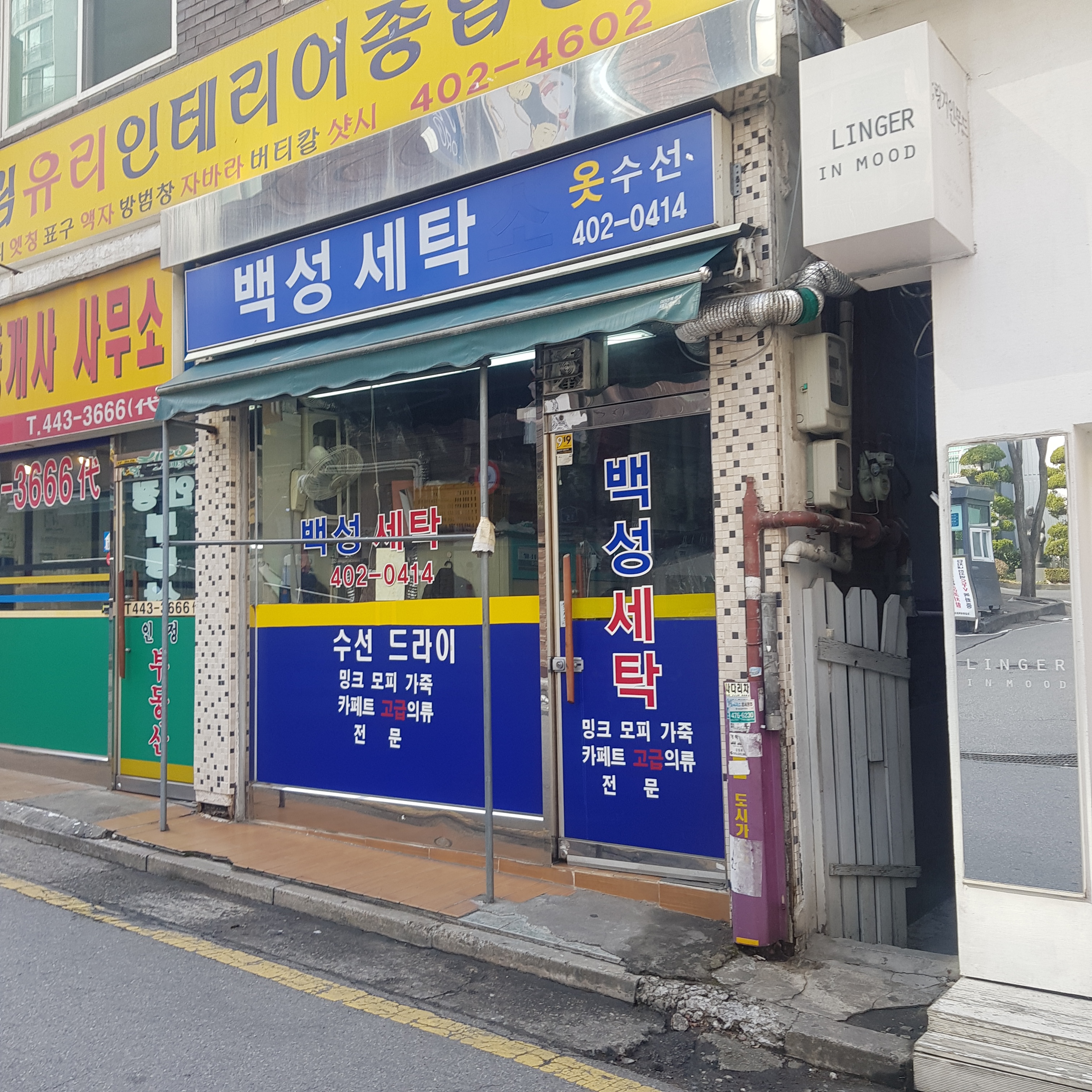 백성세탁