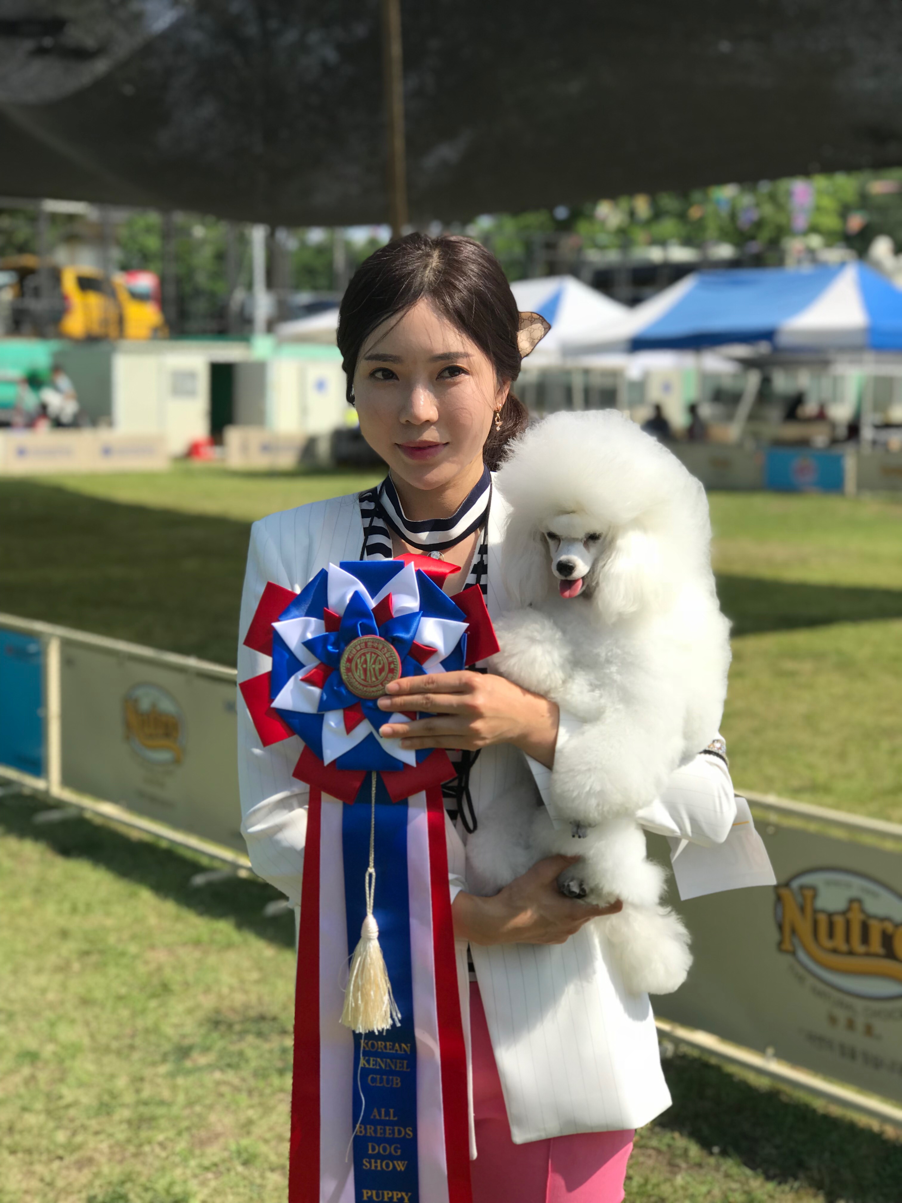 디스타일 대표 이미지