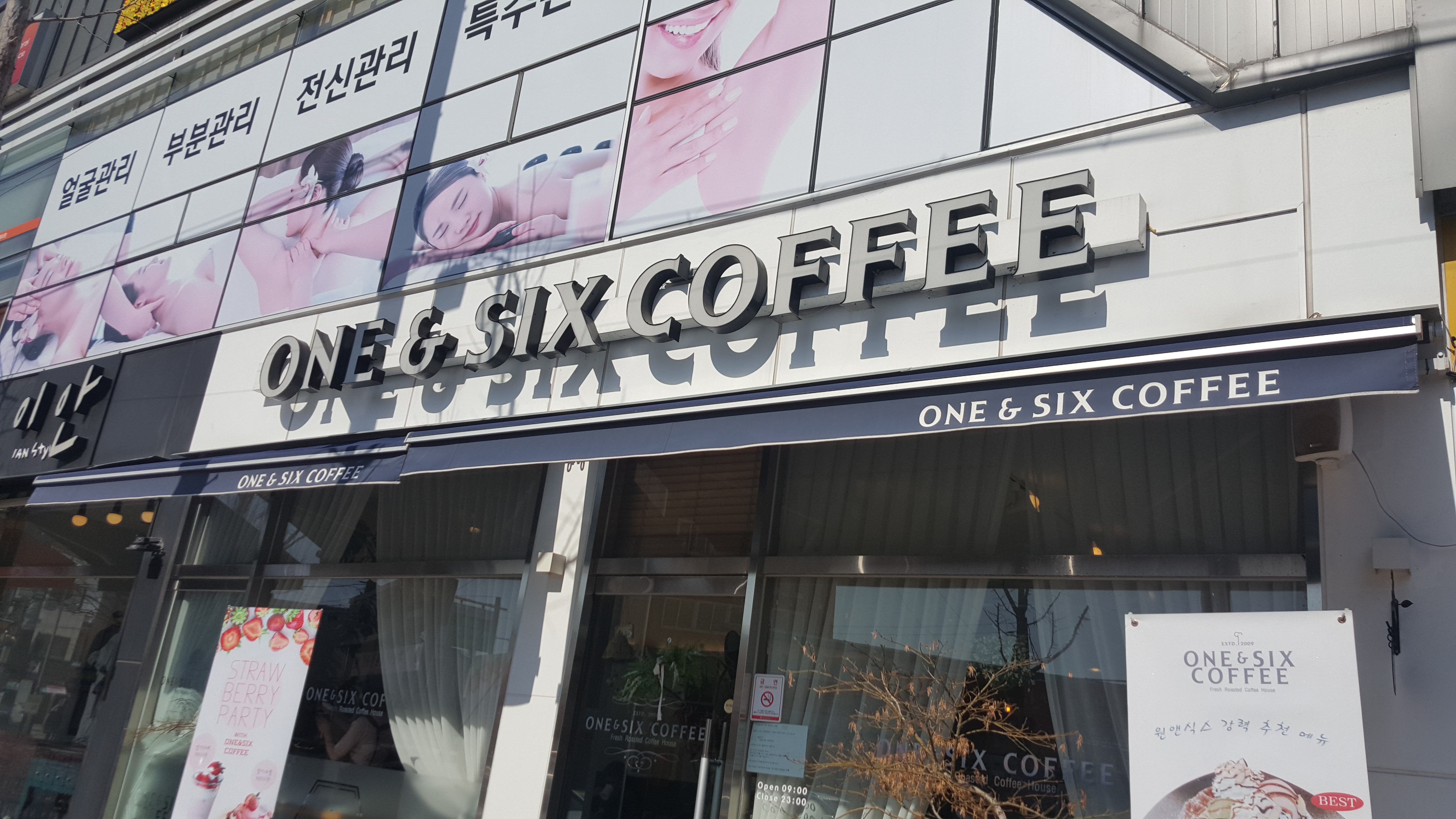 원앤식스