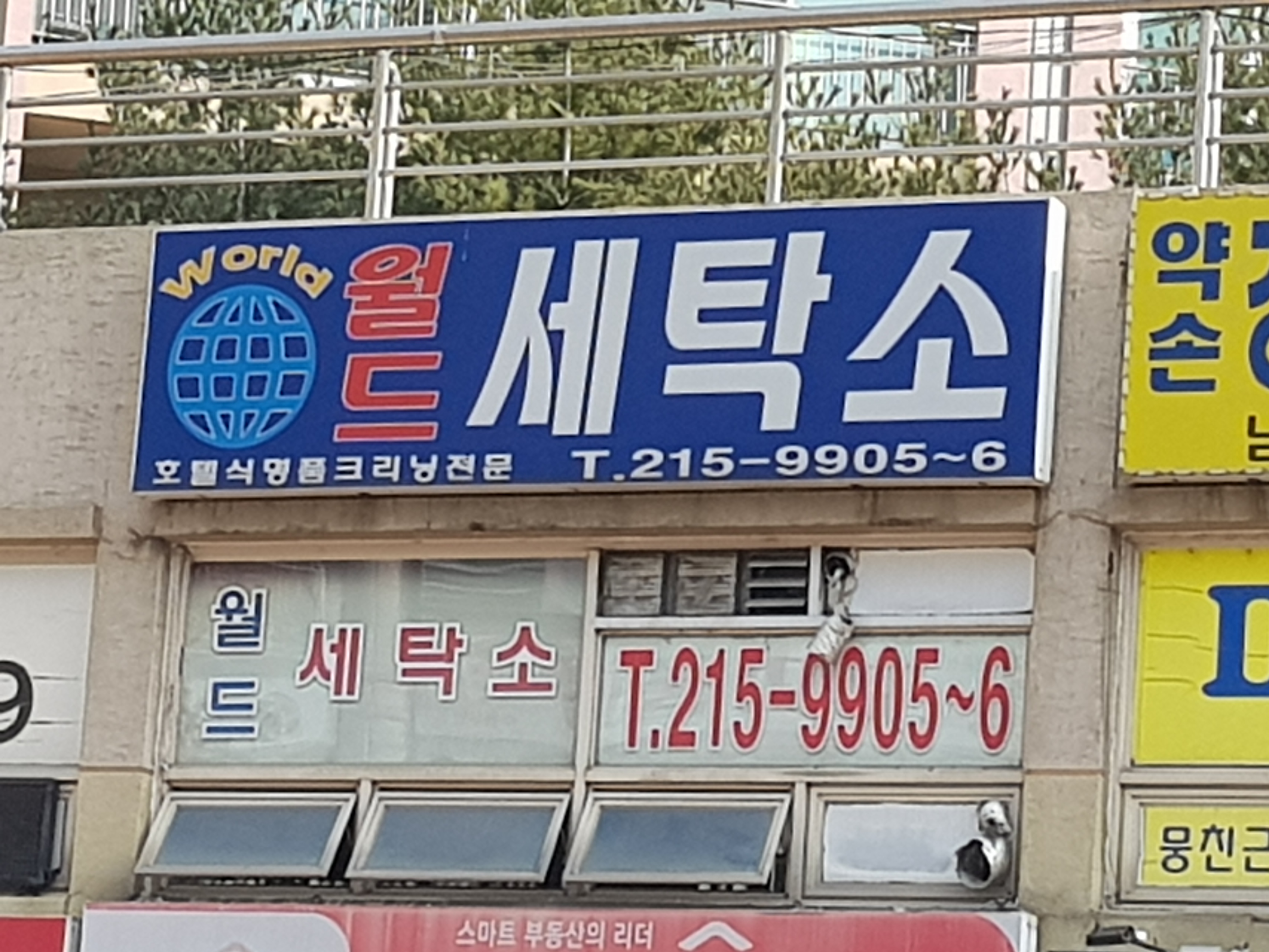 월드세탁소