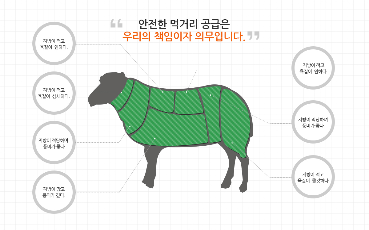 하이강원미트