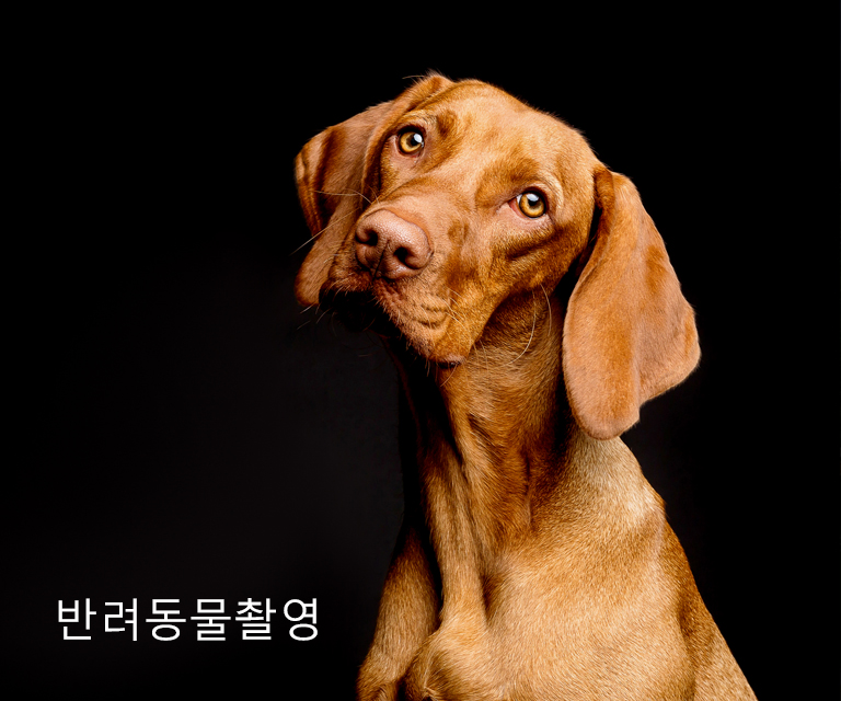 스튜디오김씨지 여수본점