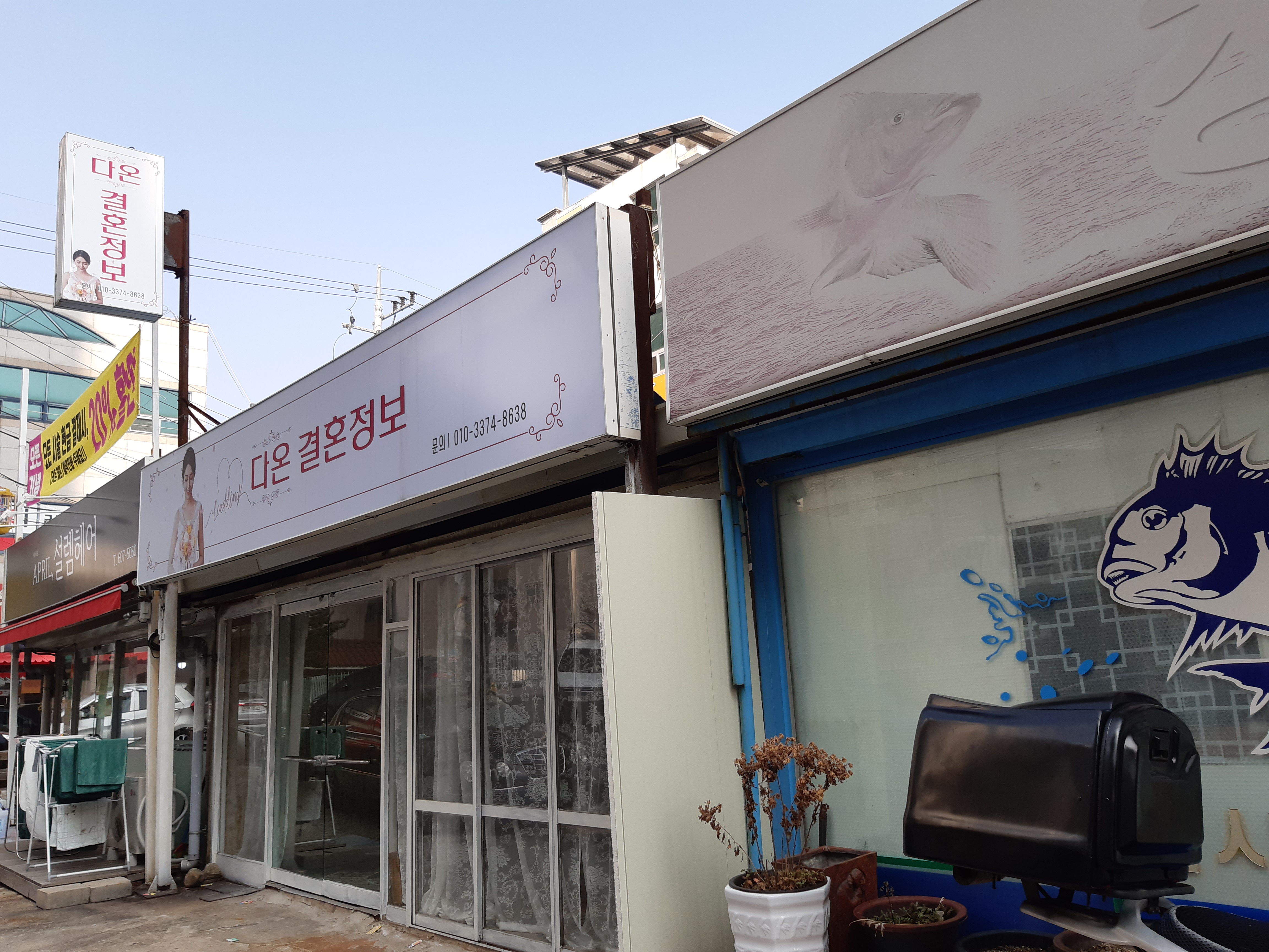 다온결혼정보
