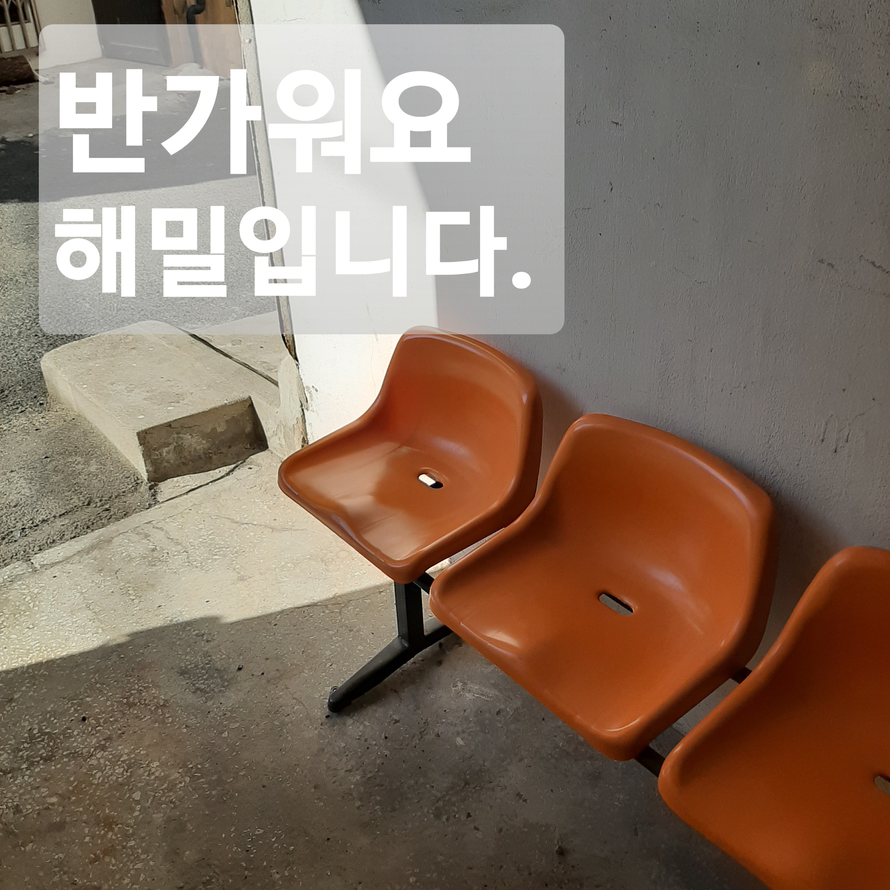 제과학원 부산 해운대구 우수업체 제과제빵 제과제빵자격증 베이킹학원 제과기능사 해밀