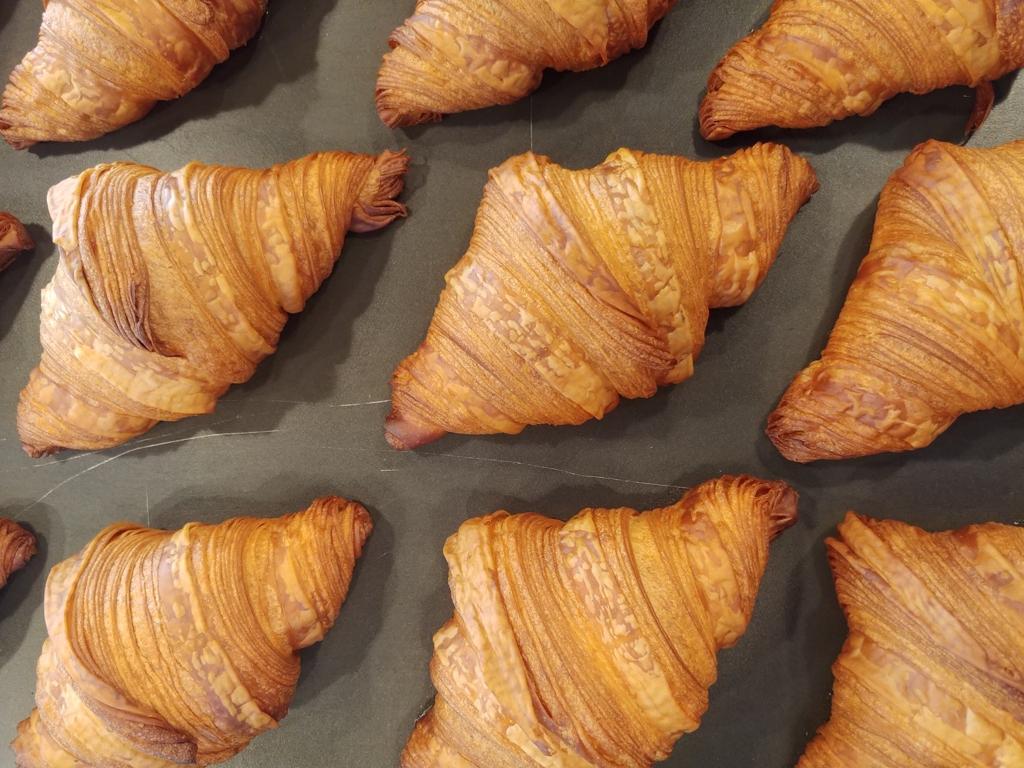 솔트24 대표 이미지