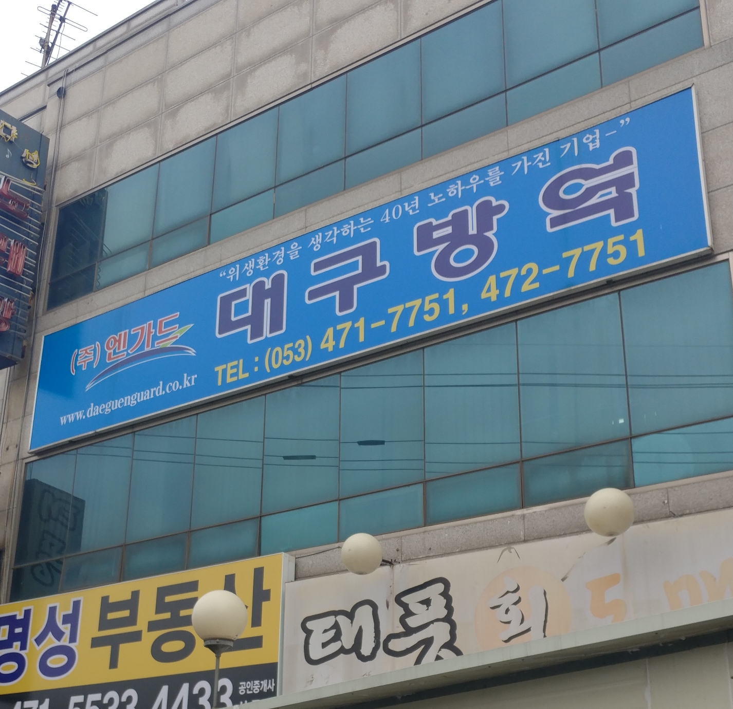 대구방역