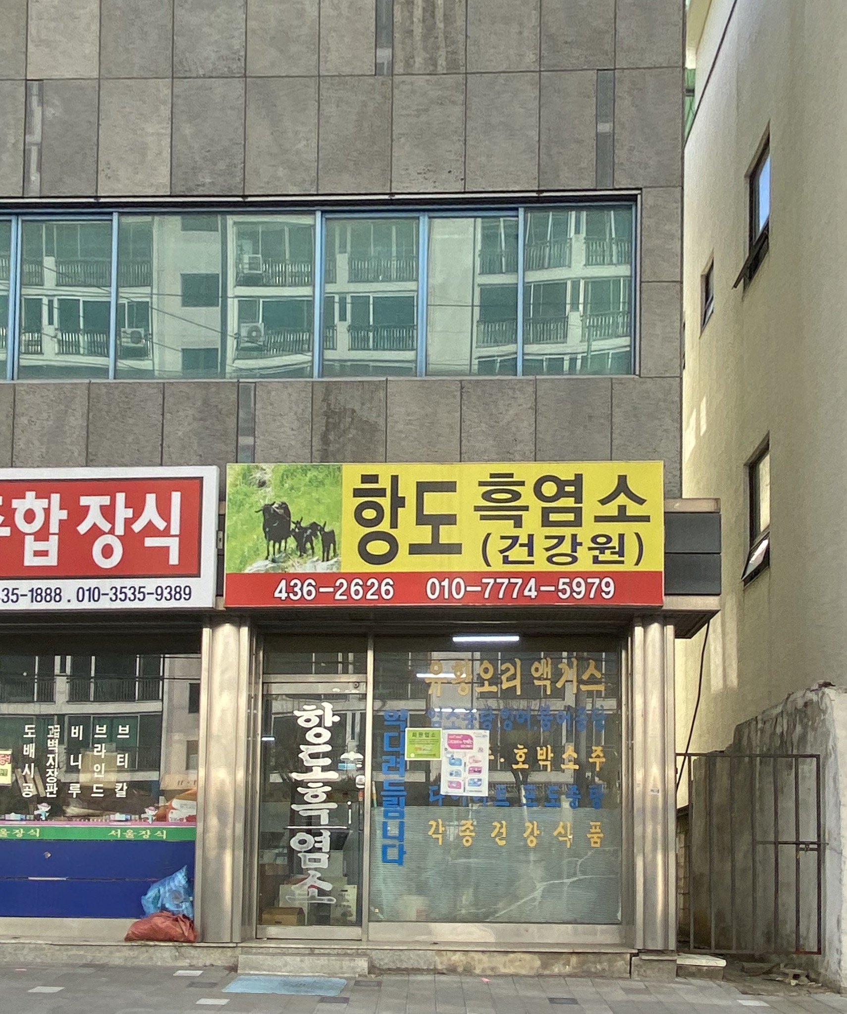 항도흑염소