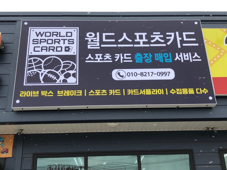 월드스포츠카드