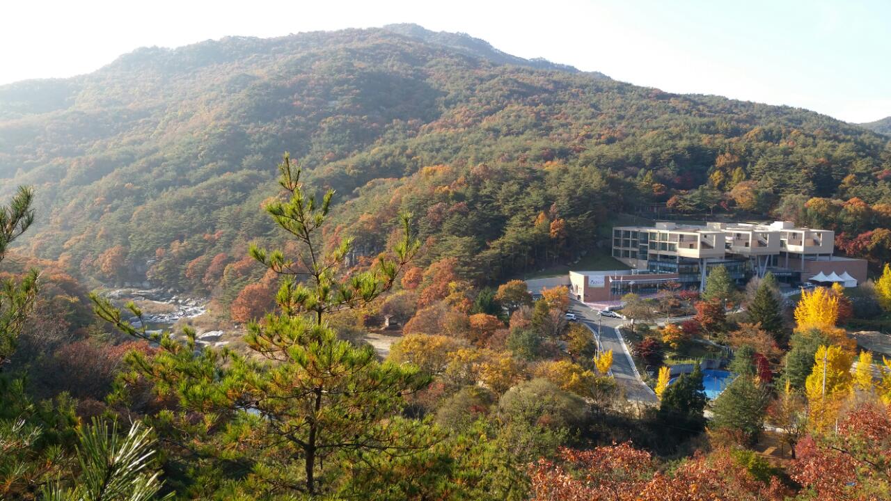 충청북도자연학습원