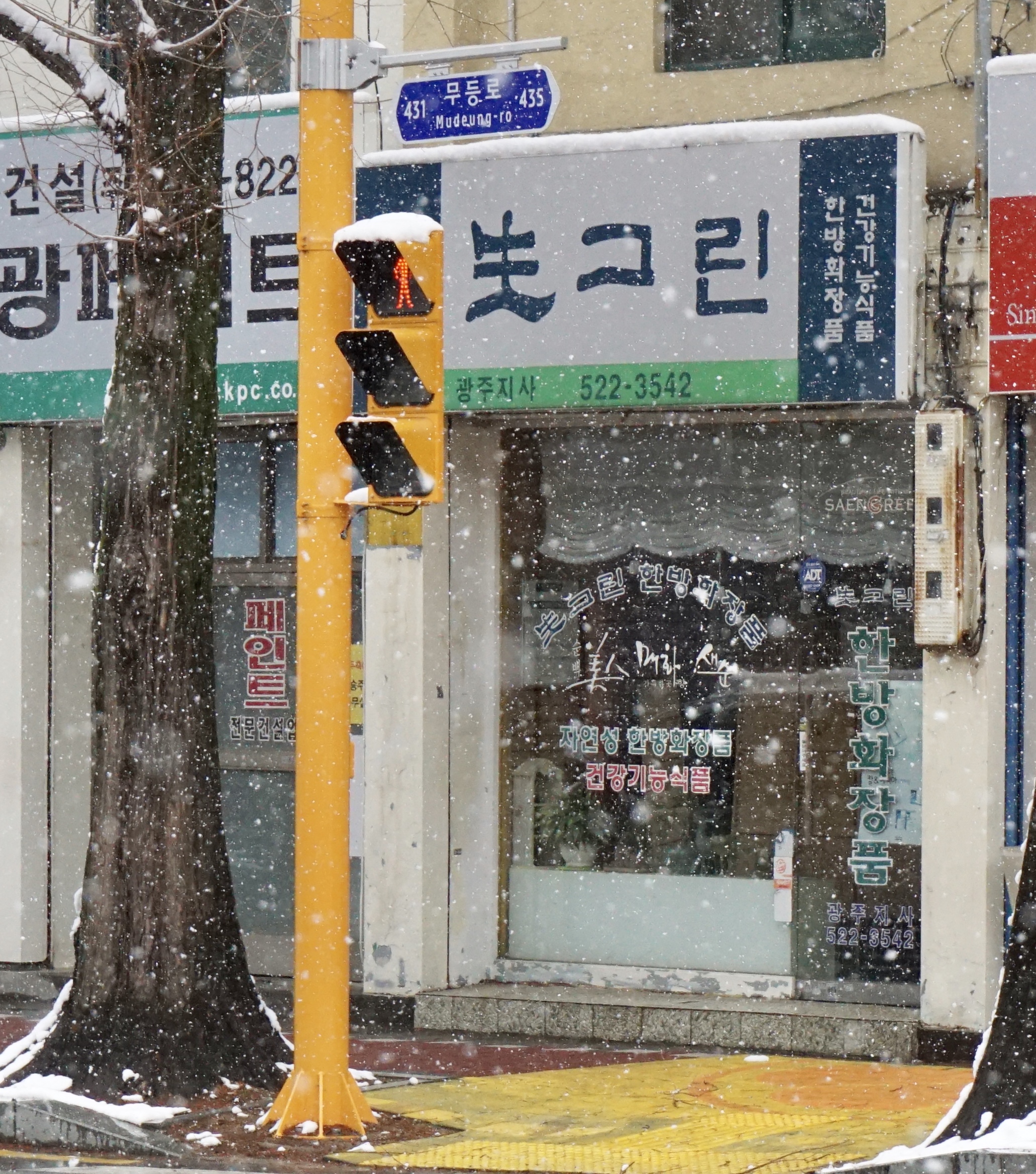 생그린 광주지사