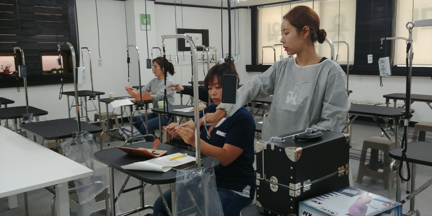 김고은그루밍샵 내부 또는 관련 모습
