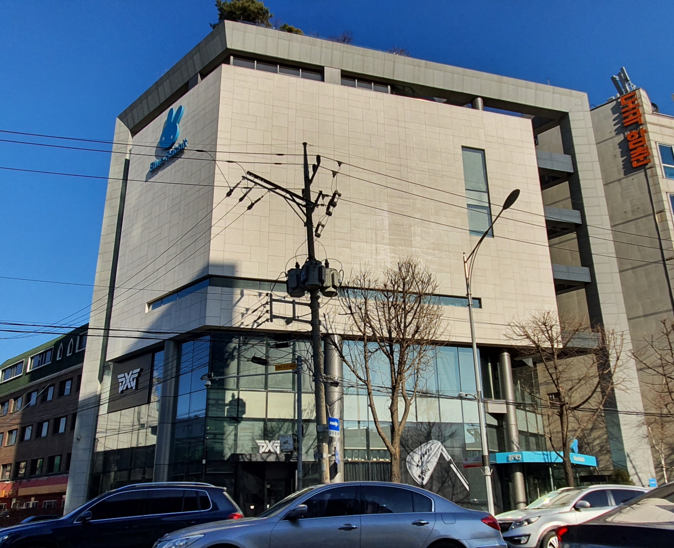블루래빗